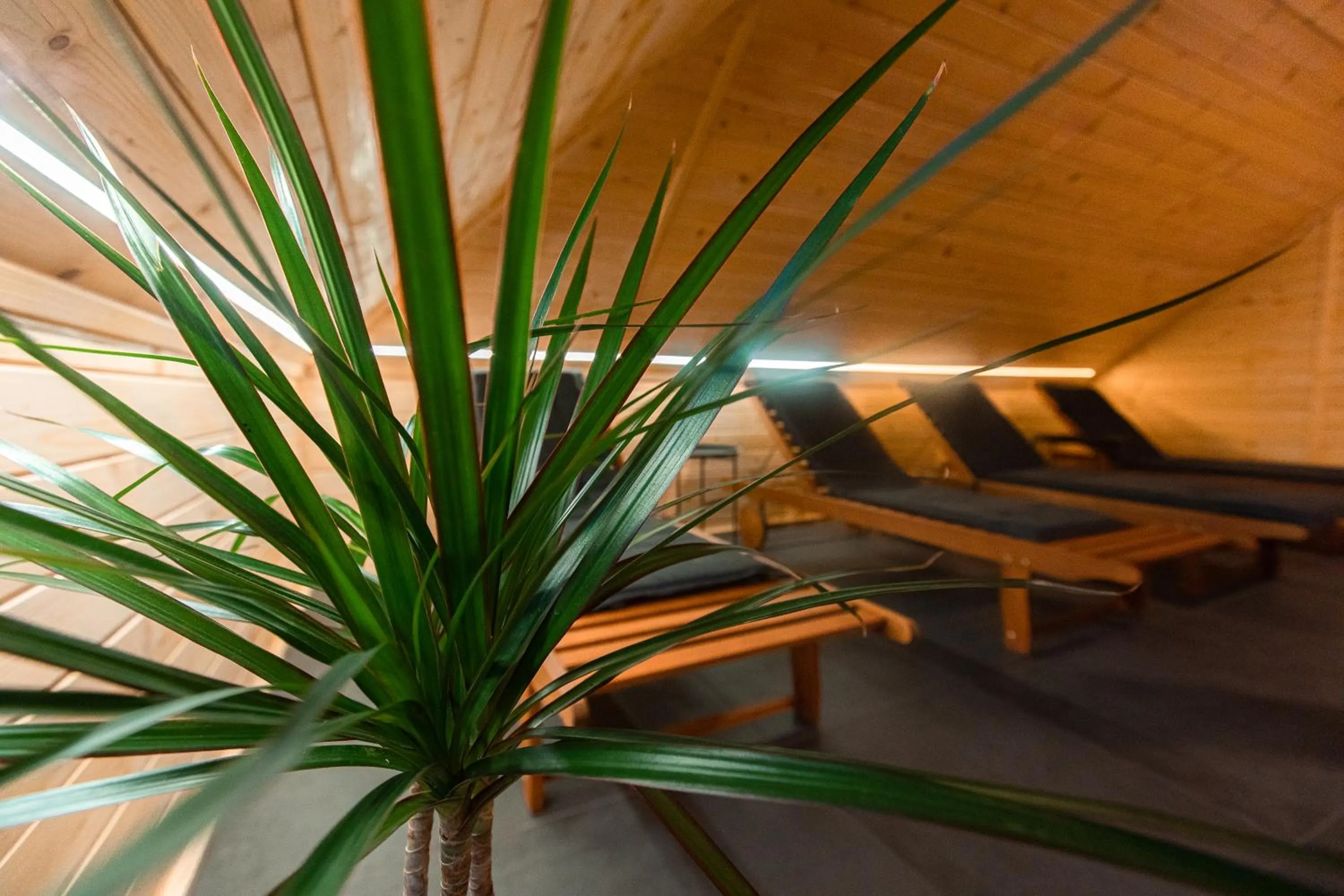 Sauna in Kozjanski dvor