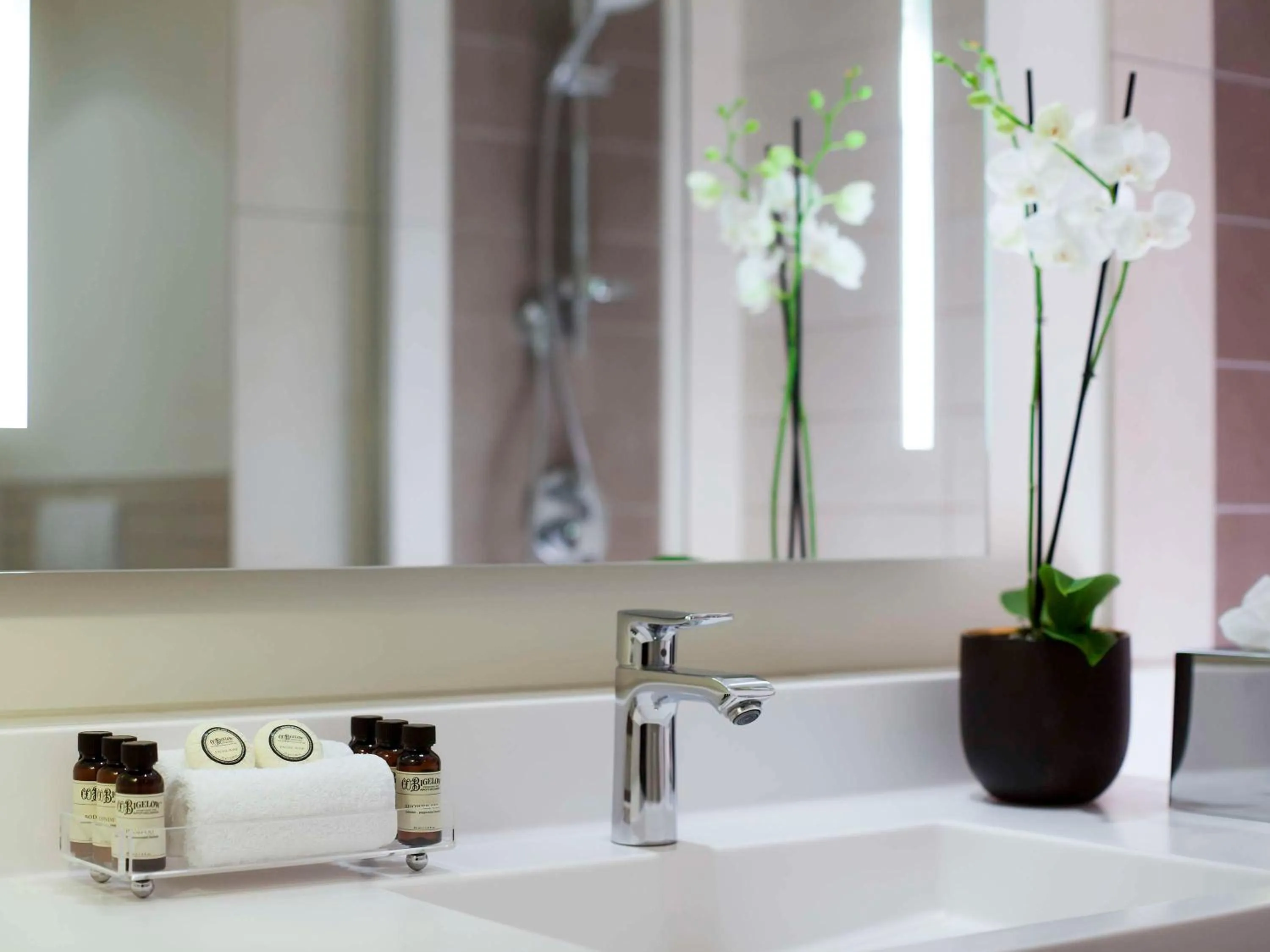 Bathroom in Pullman Paris Centre - Bercy