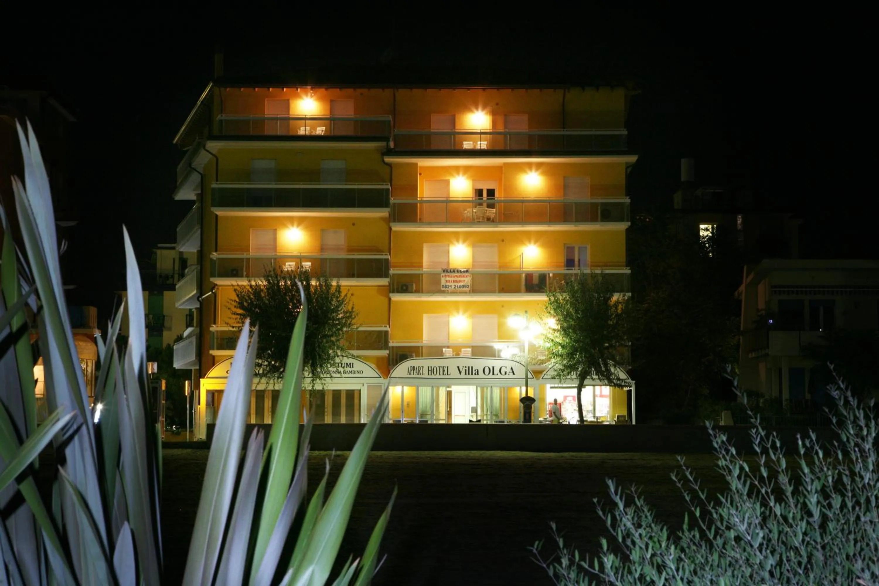 Facade/entrance in Hotel Villa Olga