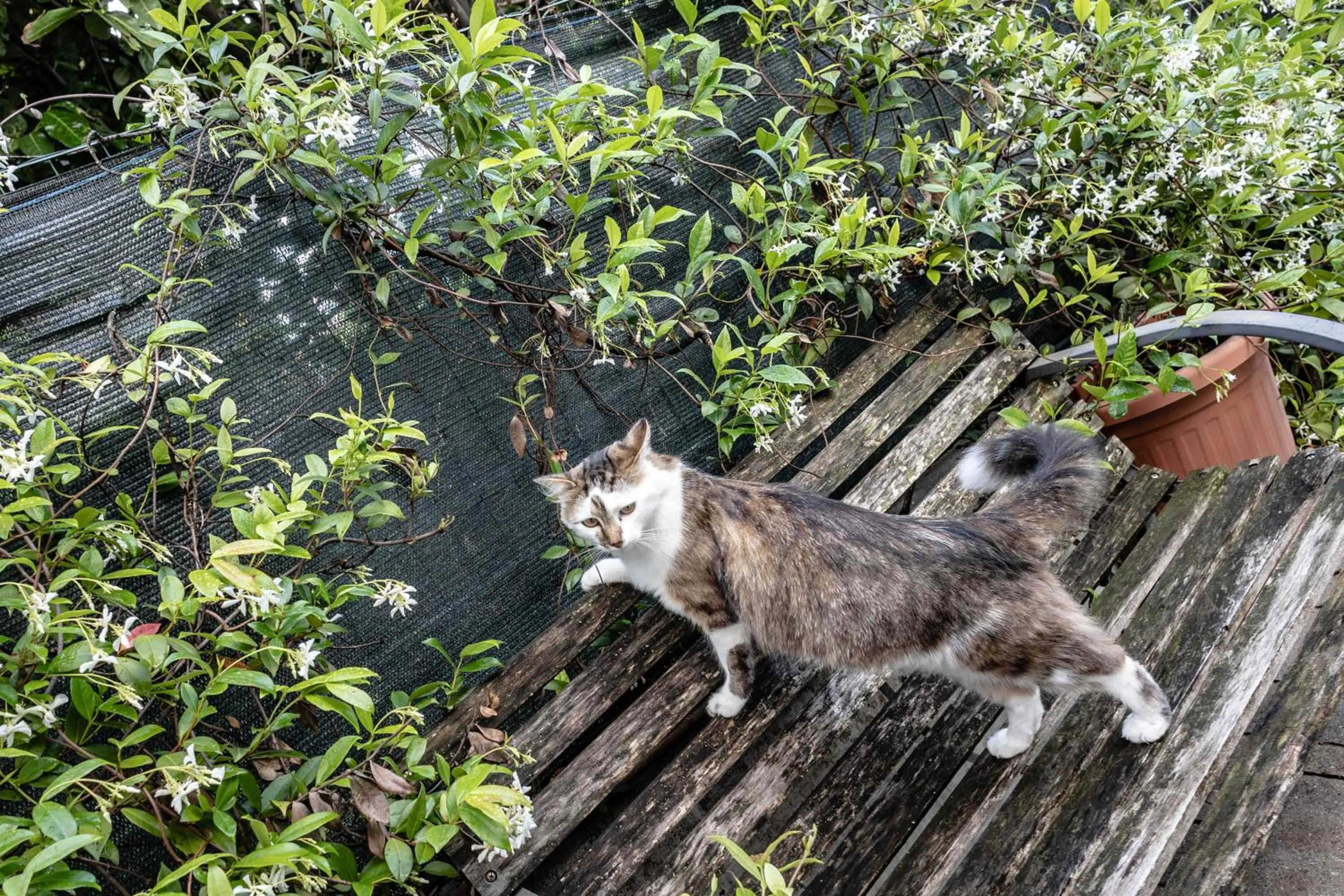 Garden in Case Appartamenti Vacanze Da Cien