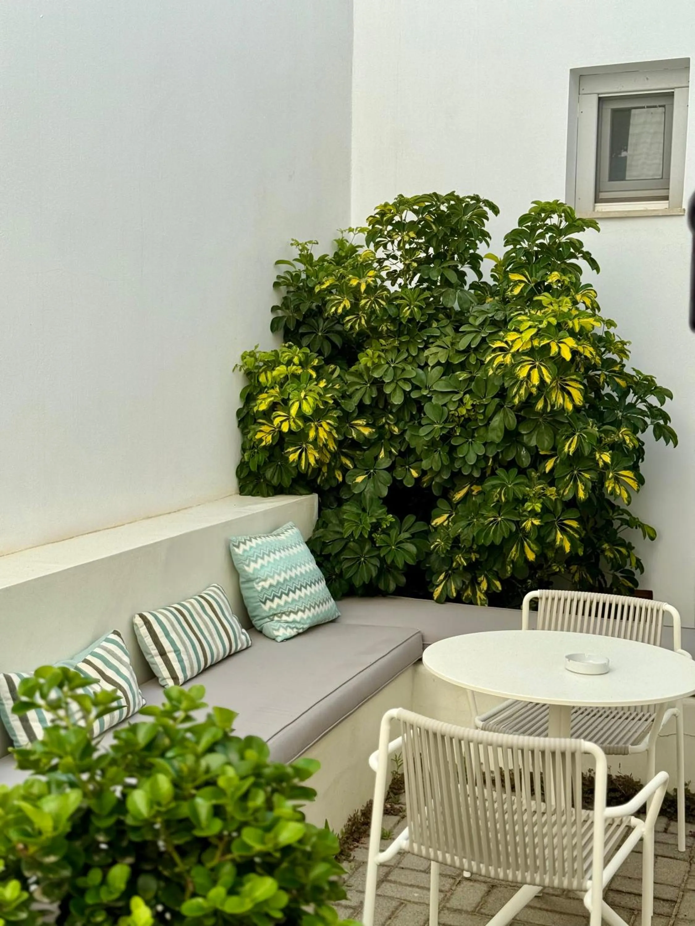 Garden in Skyros Ammos Hotel