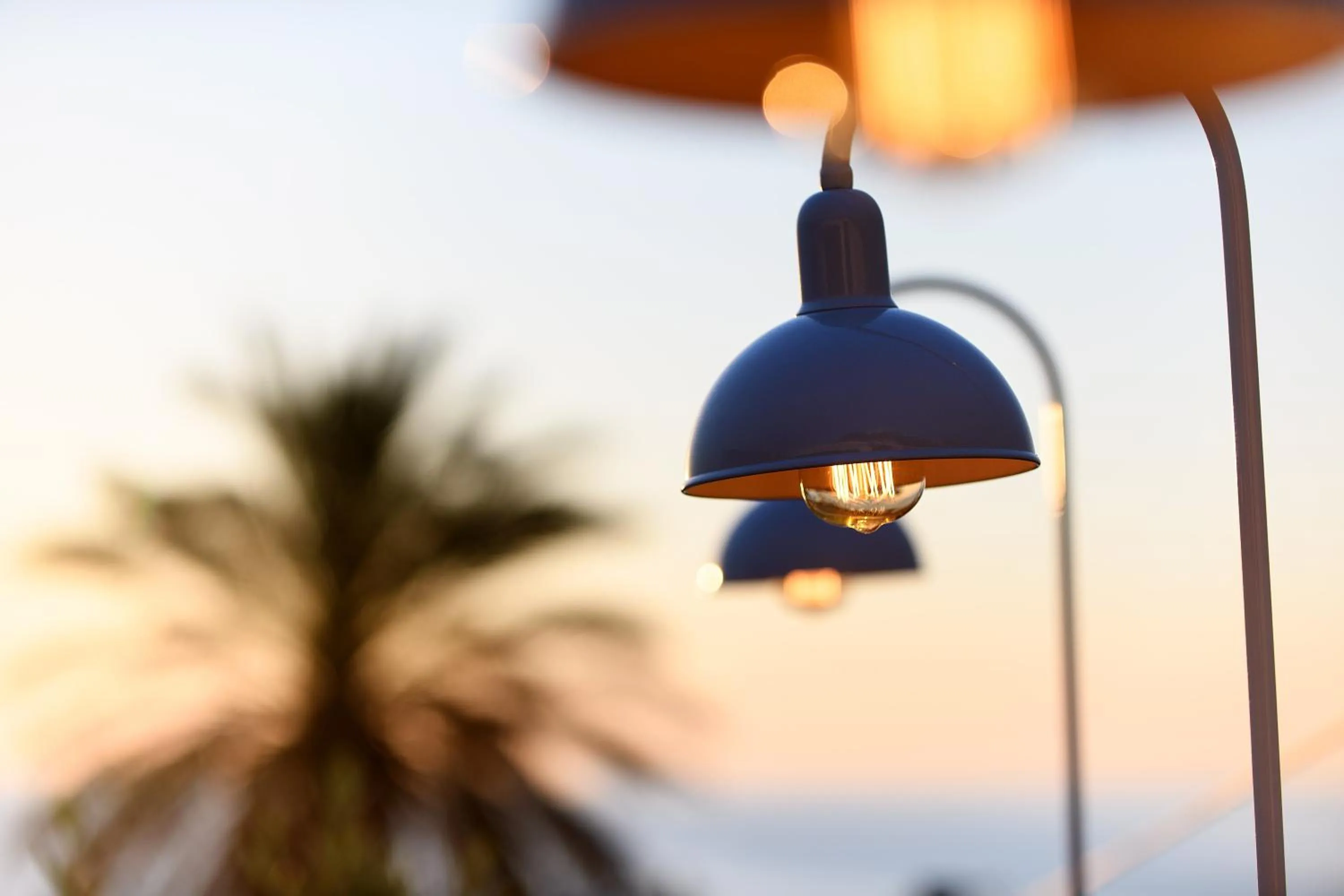 Restaurant/places to eat in Skyros Ammos Hotel