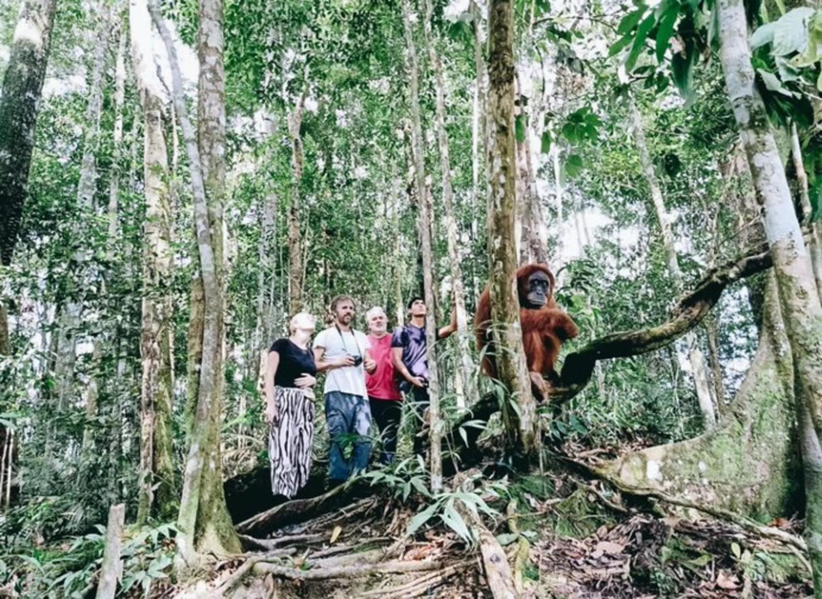 Hiking in Semalam at Sun Yat Sen - SELF CHECK IN