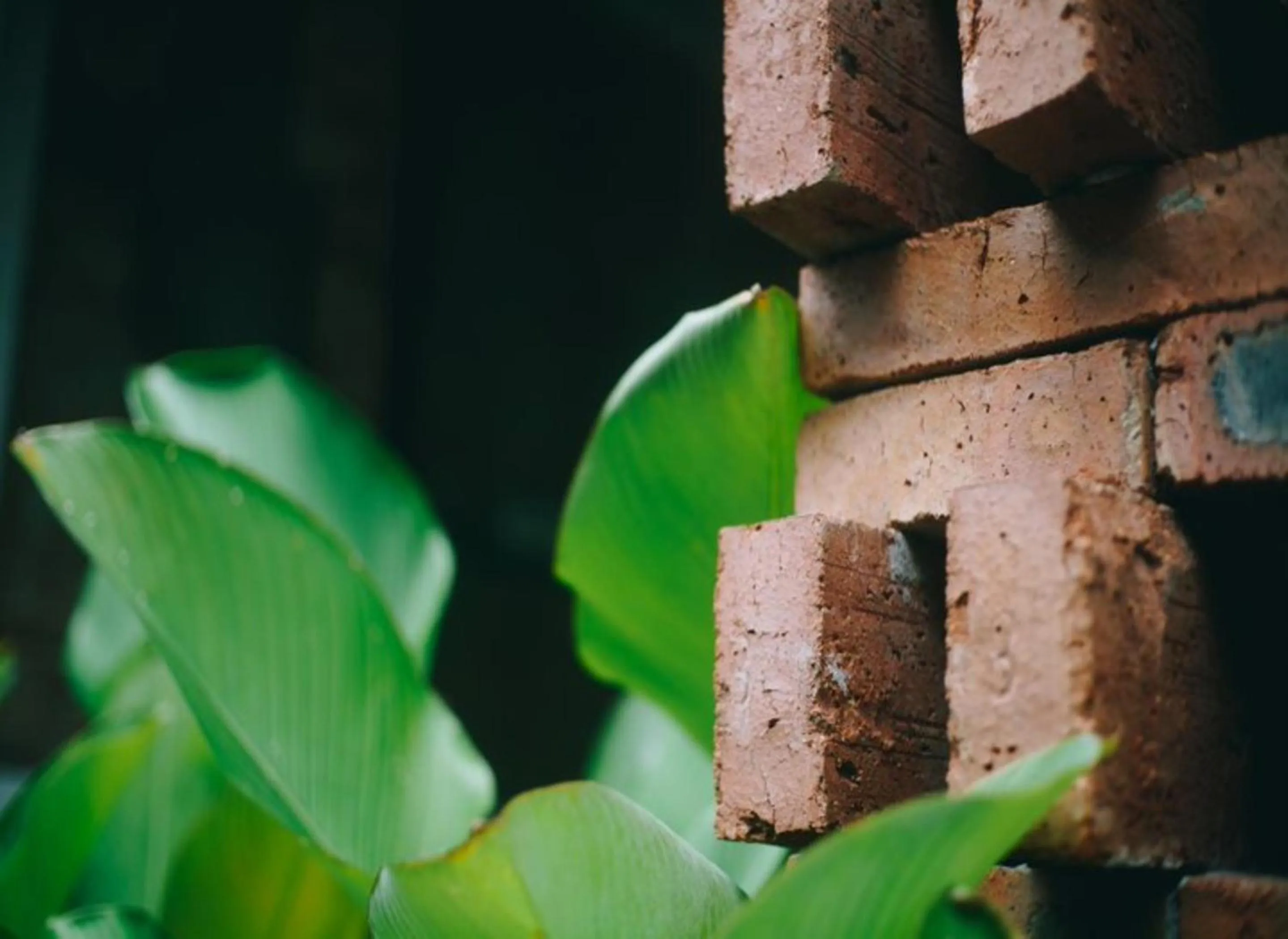 Floor plan in Semalam at Sun Yat Sen - SELF CHECK IN