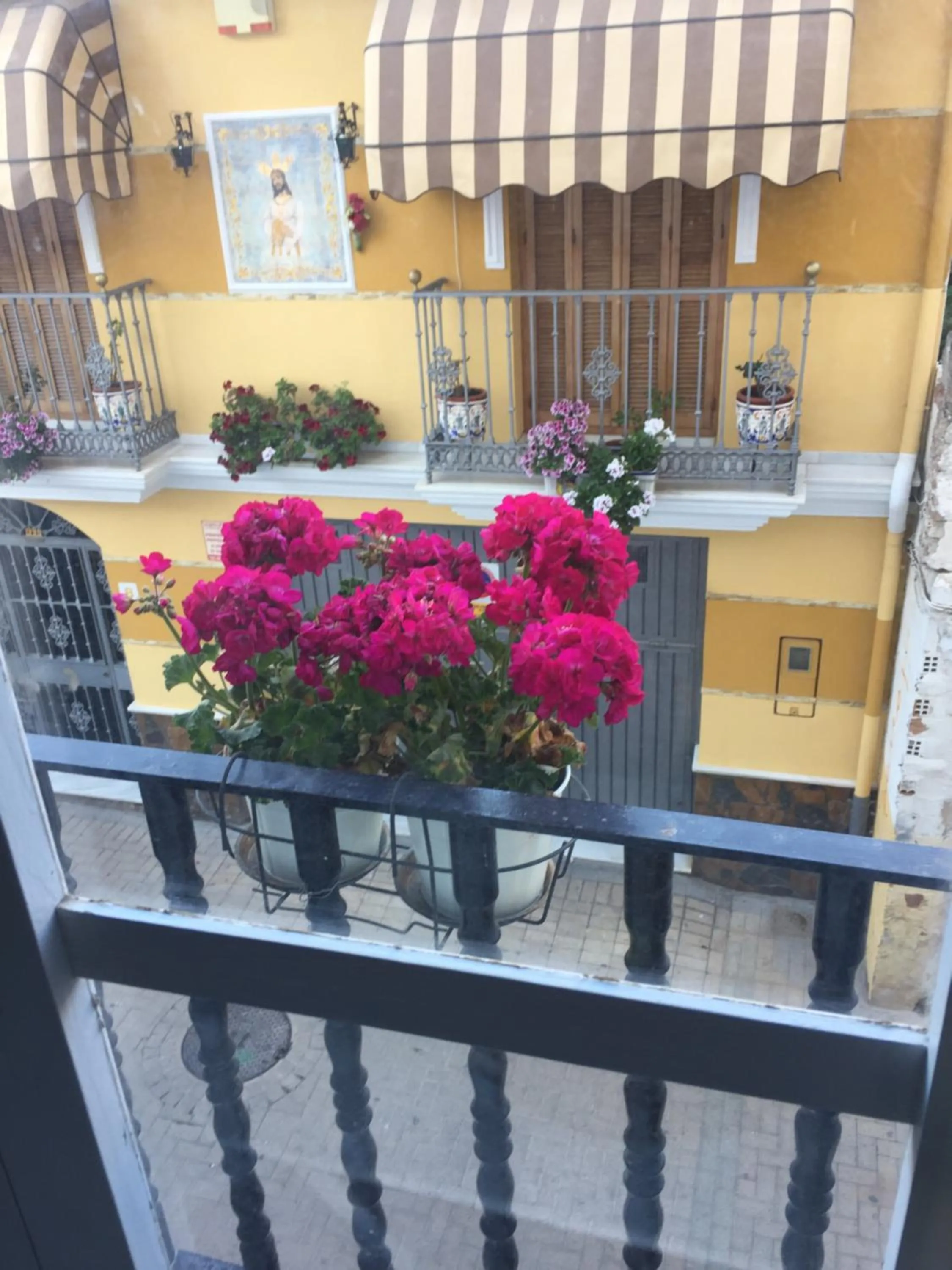 Balcony/Terrace in Málaga Centro Hostel