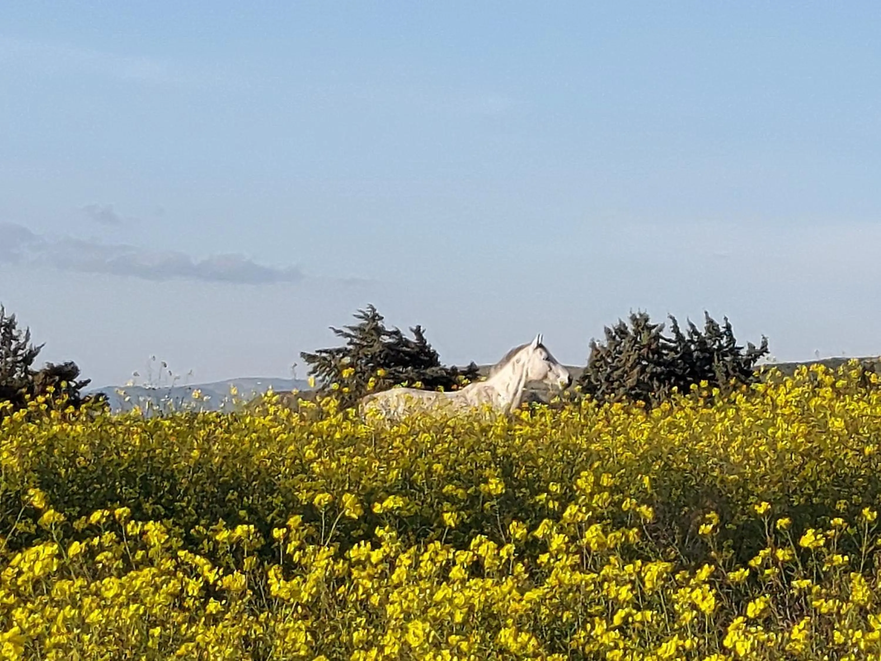 Natural landscape in Chiosi Country Club