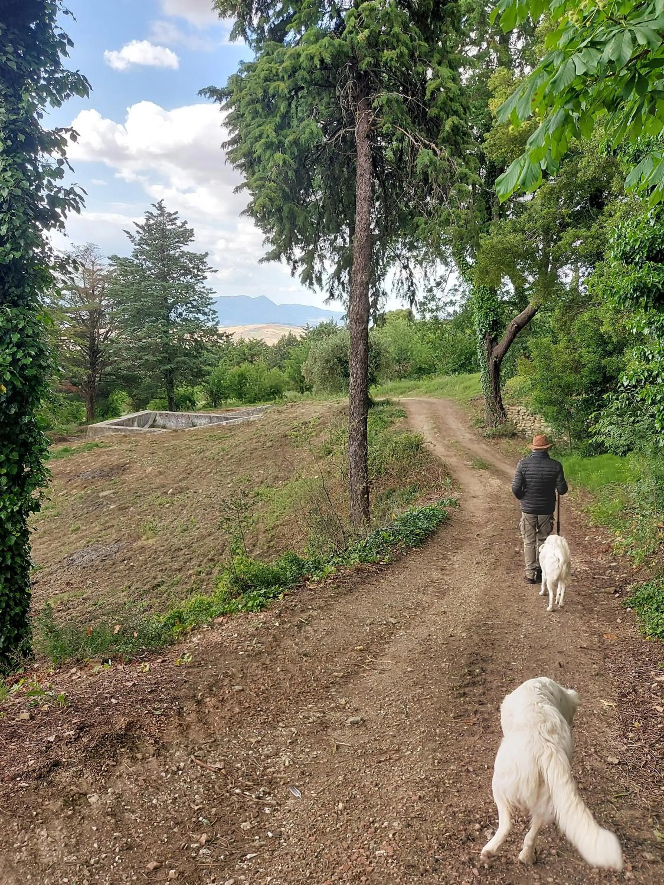 Day in Chiosi Country Club