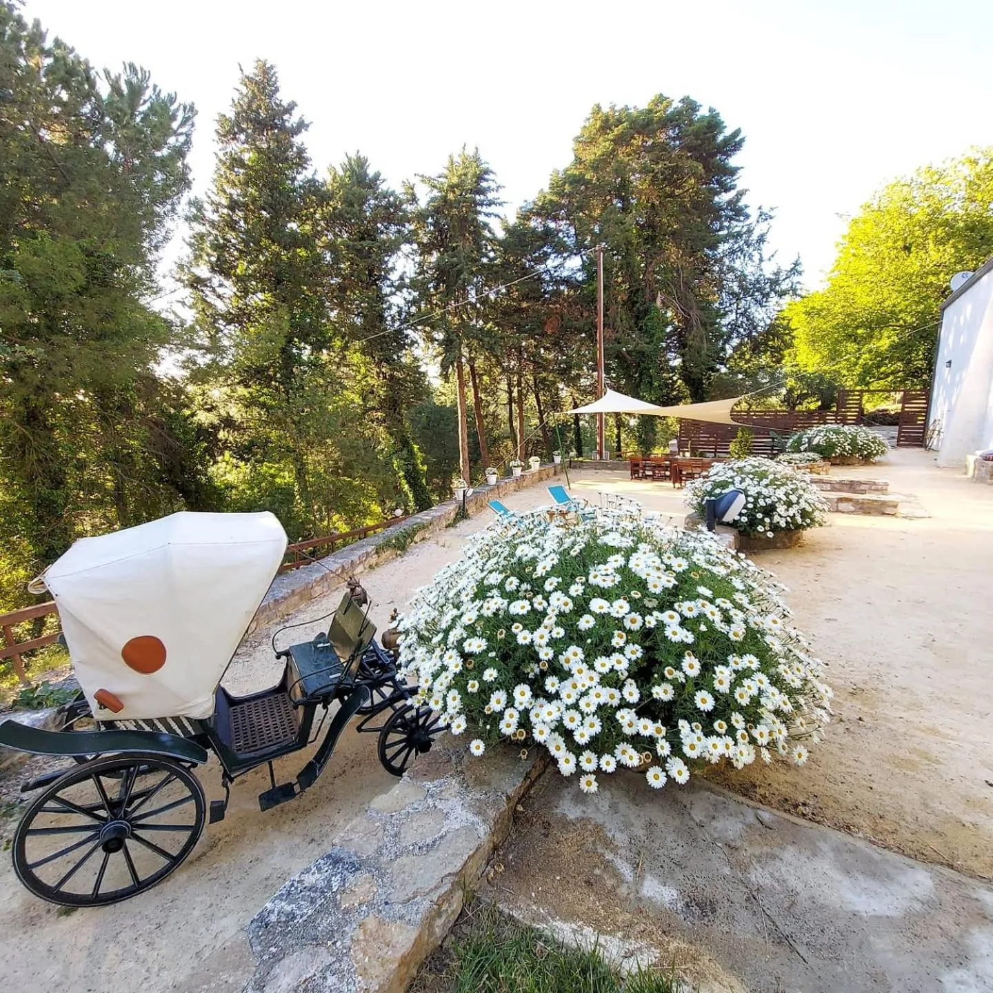 Day in Chiosi Country Club