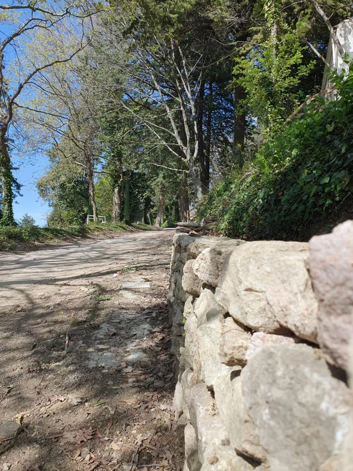 Garden in Chiosi Country Club