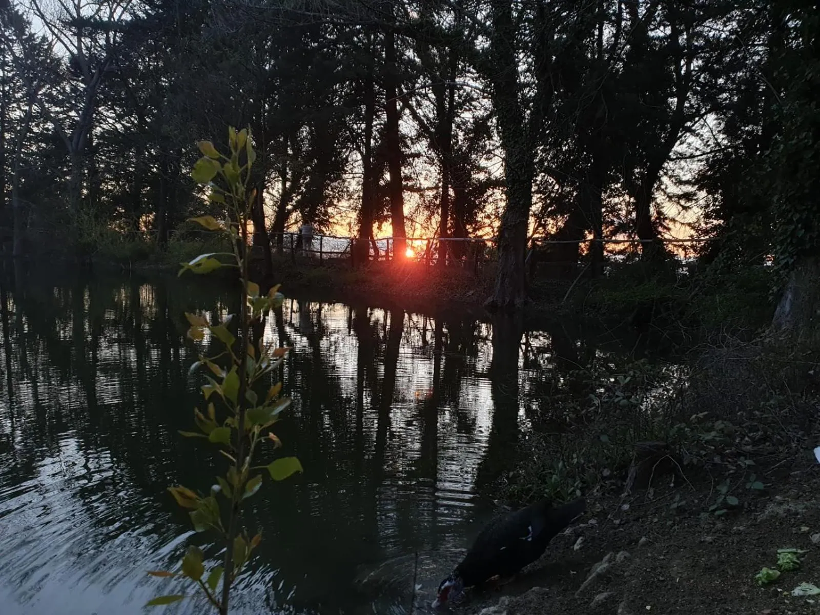 Lake view in Chiosi Country Club