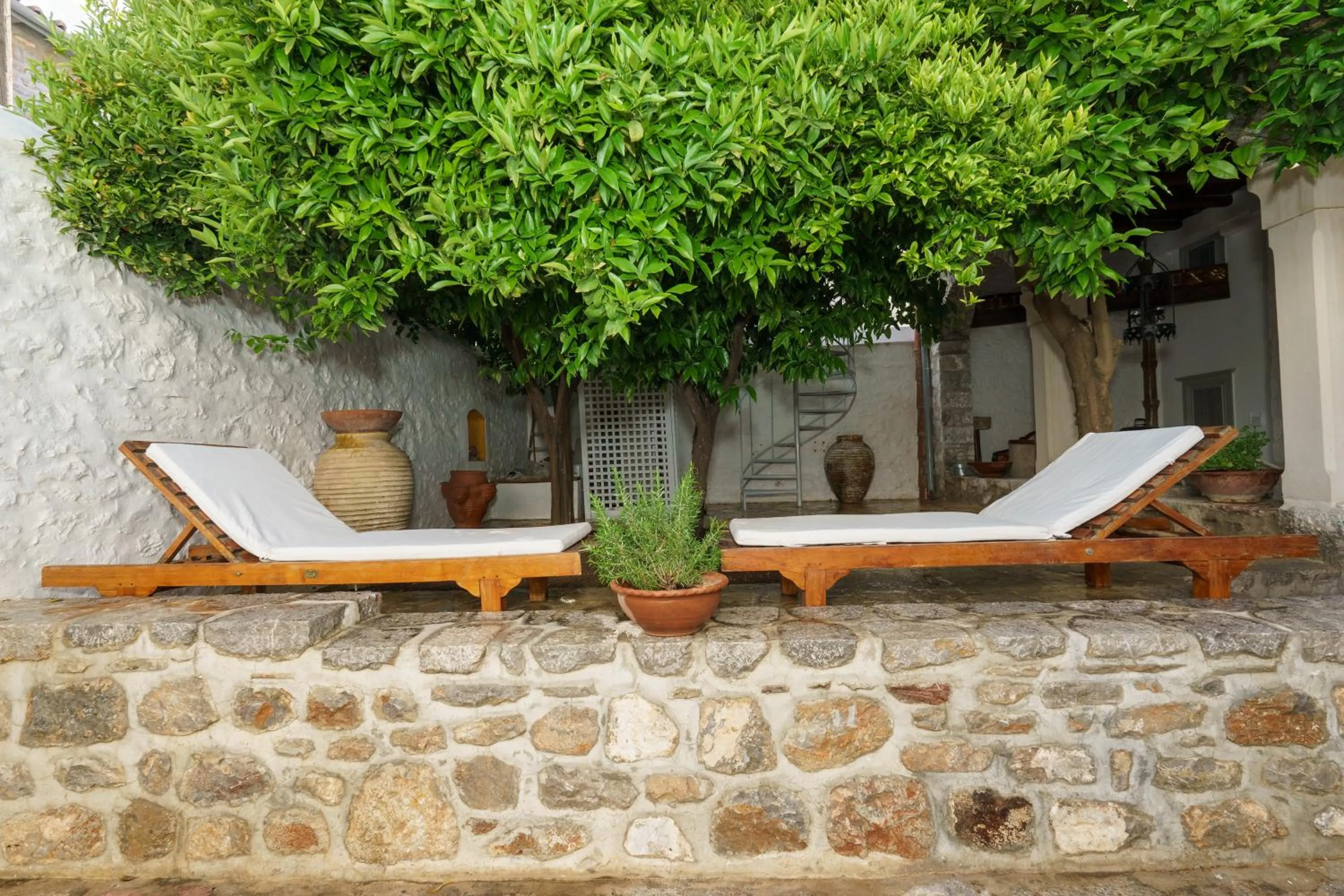 Garden in LIVIN Hydra Garden Suite