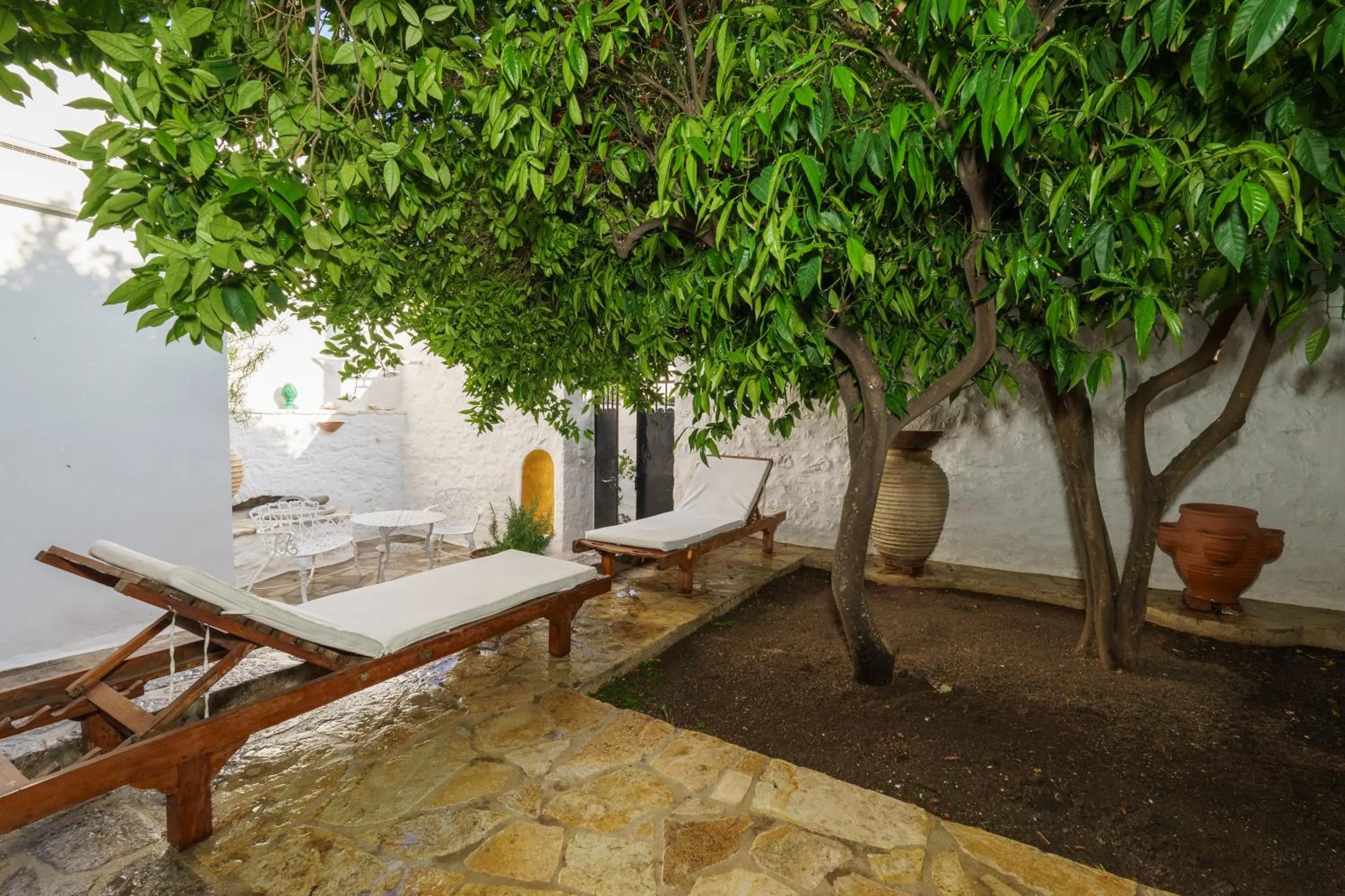 Garden in LIVIN Hydra Garden Suite