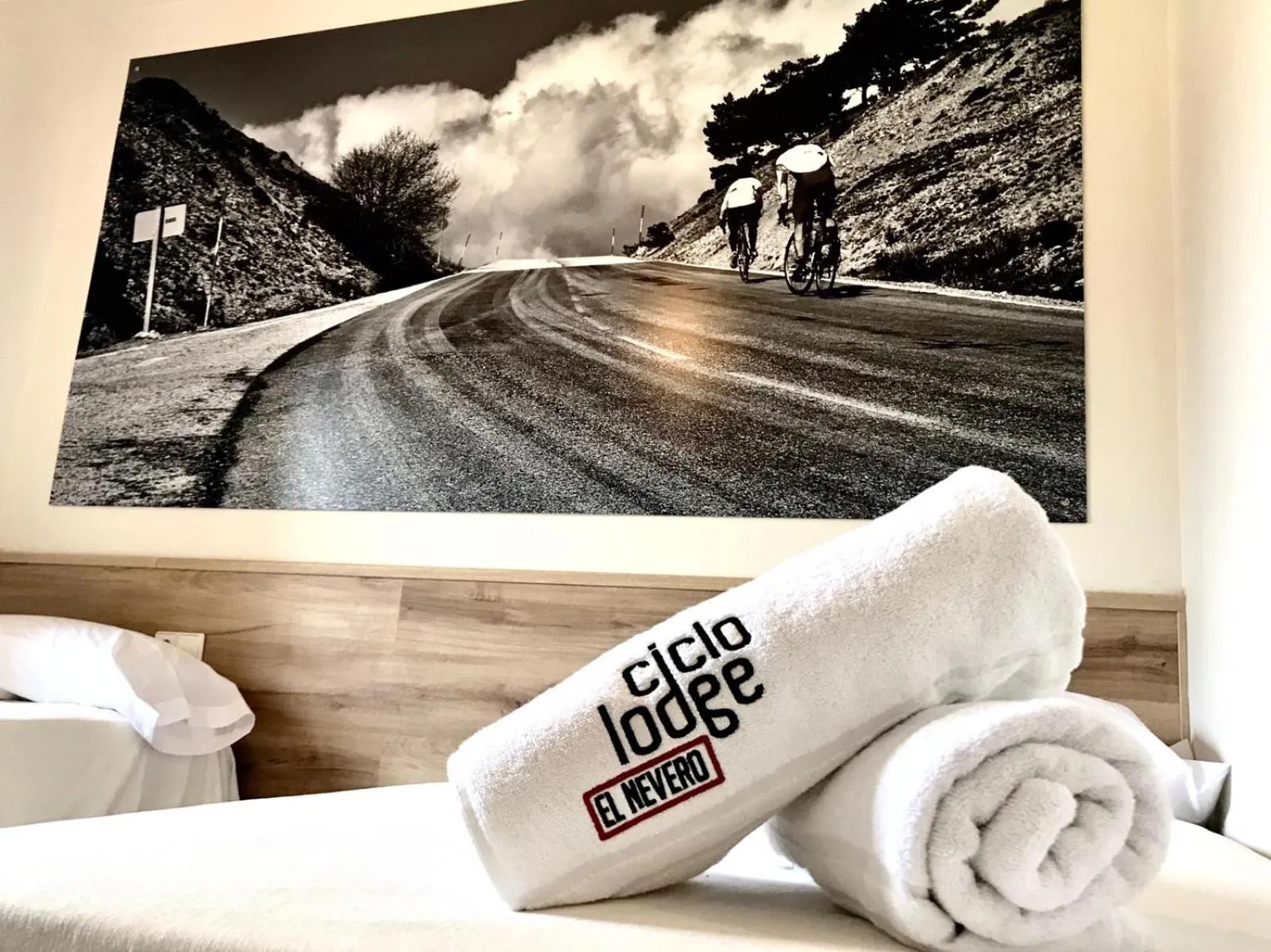 Logo/Certificate/Sign in CicloLodge