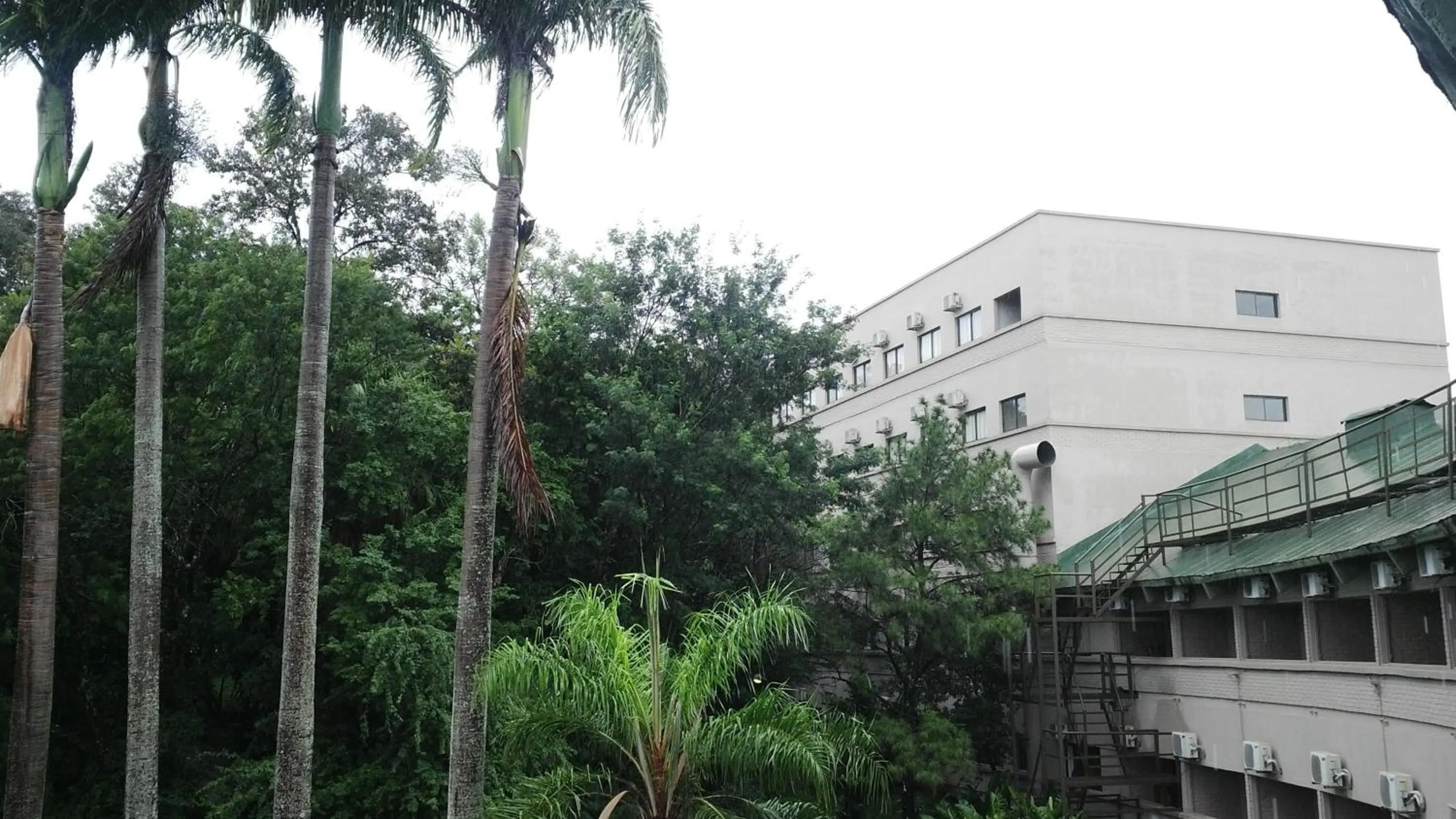 View (from property/room) in Hotel El Libertador