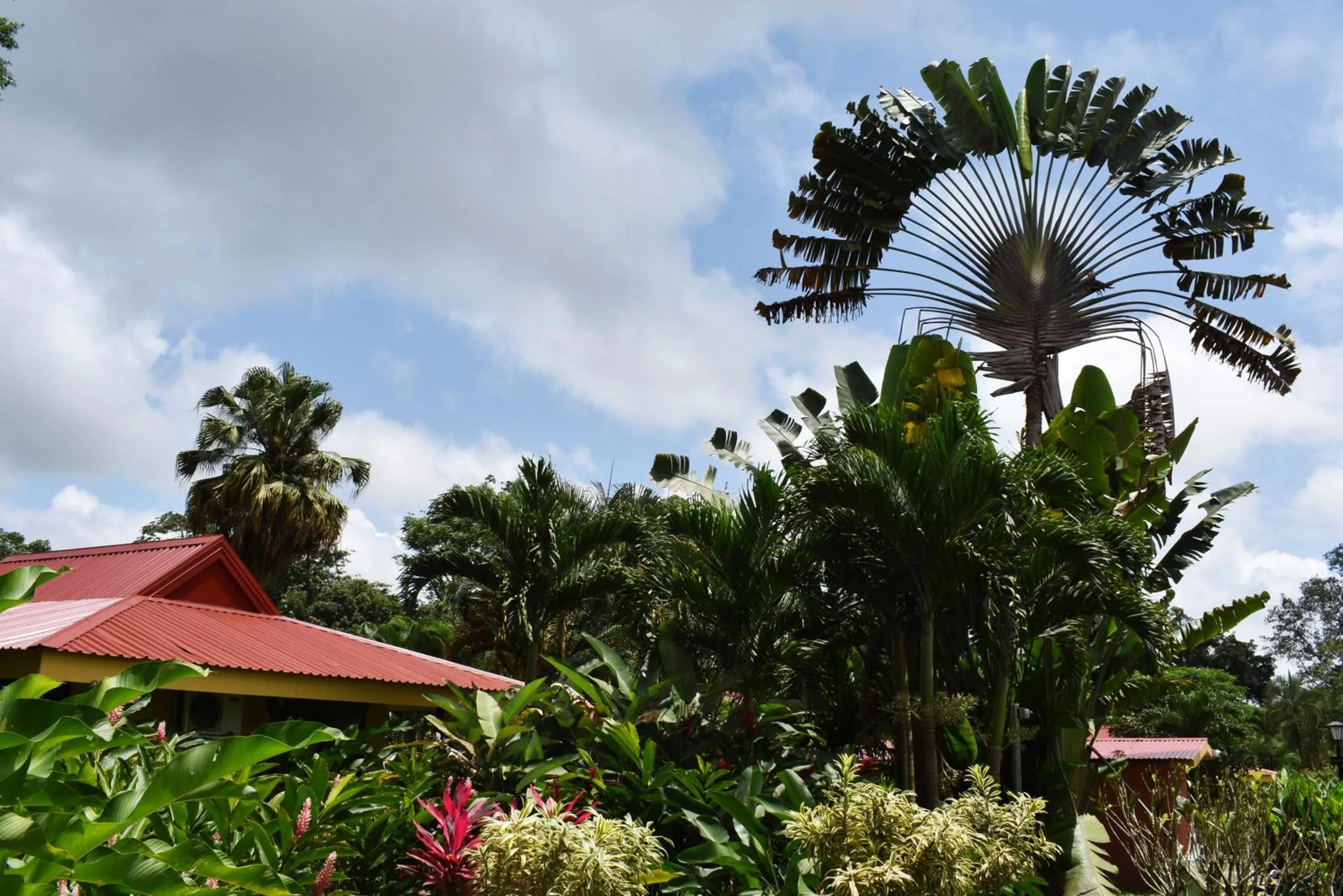 Garden in Hotel Arenal Country Inn