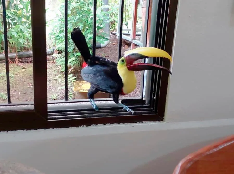 Lobby or reception in Hotel Arenal Country Inn