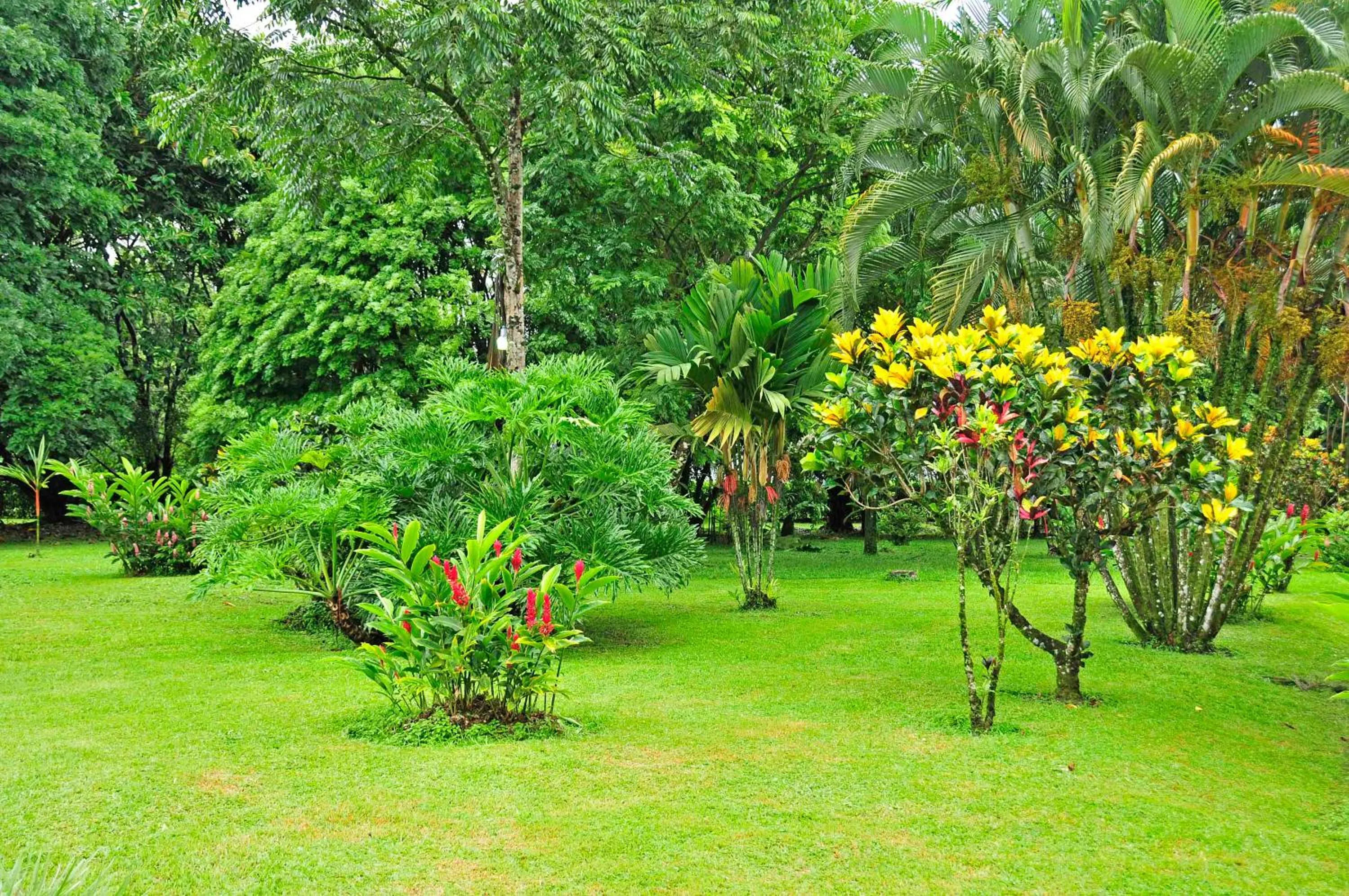 Natural landscape in Hotel Arenal Country Inn