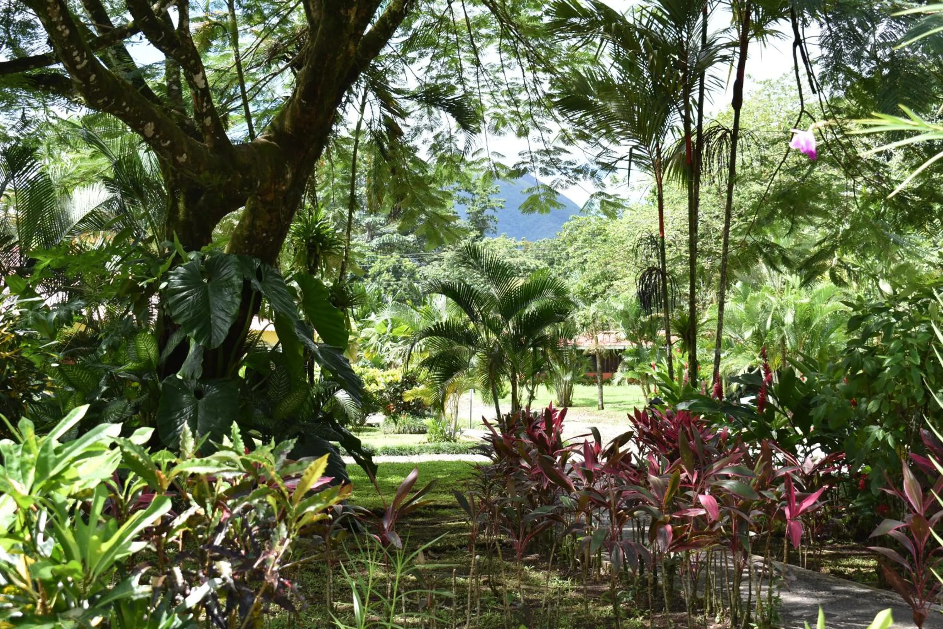 Garden in Hotel Arenal Country Inn