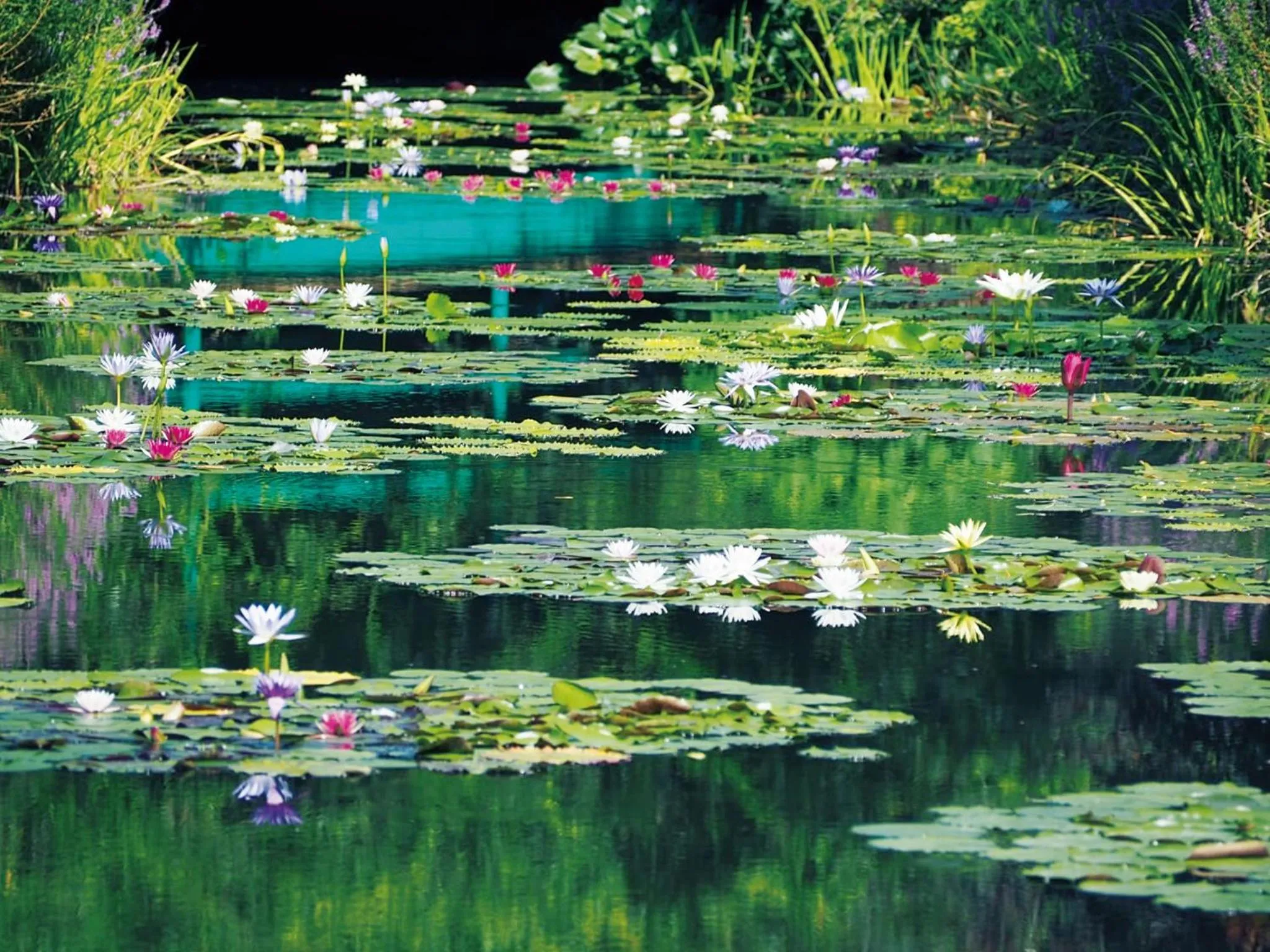 Nearby landmark in The Crown Palais New Hankyu Kochi