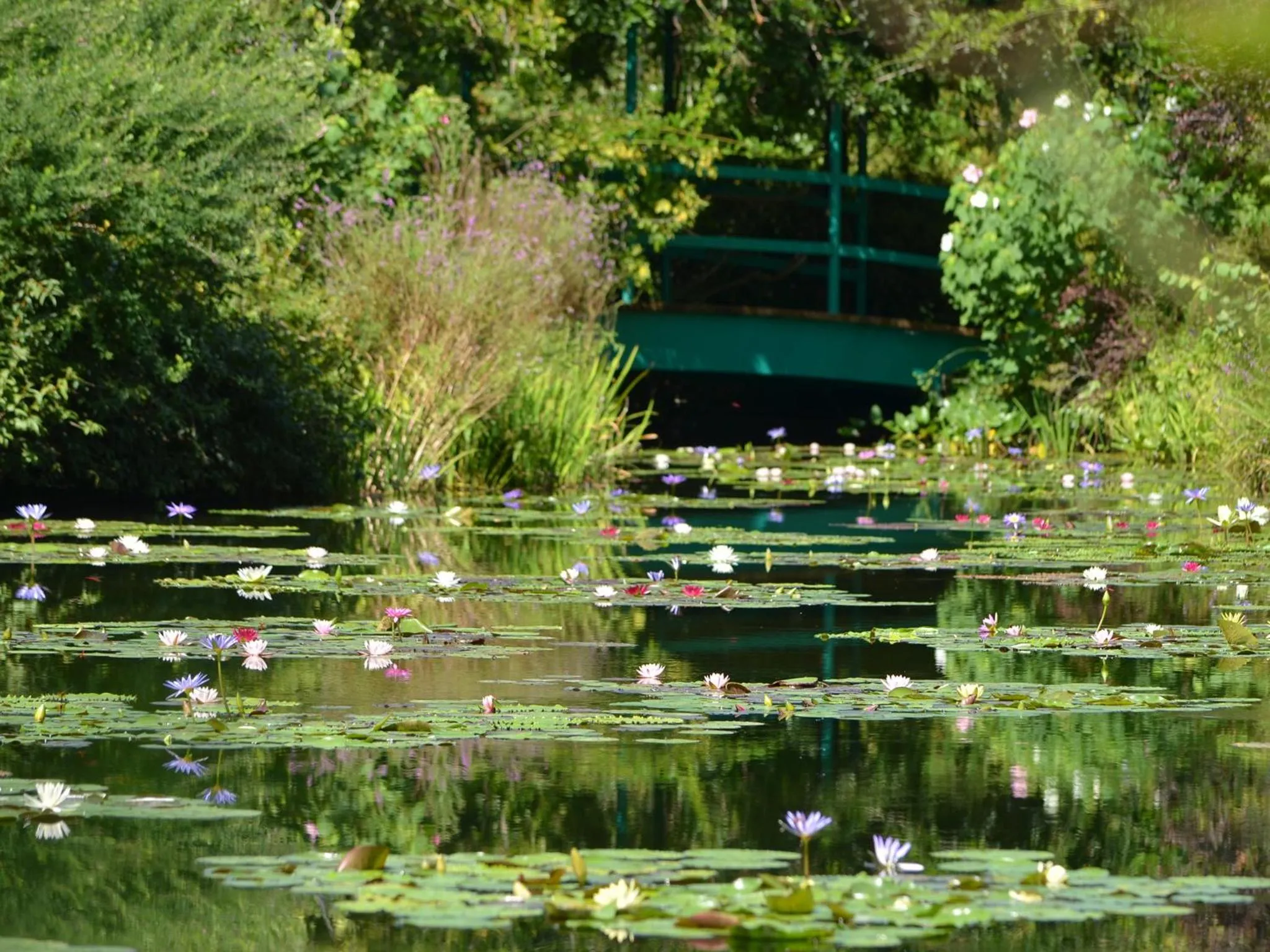 Nearby landmark in The Crown Palais New Hankyu Kochi