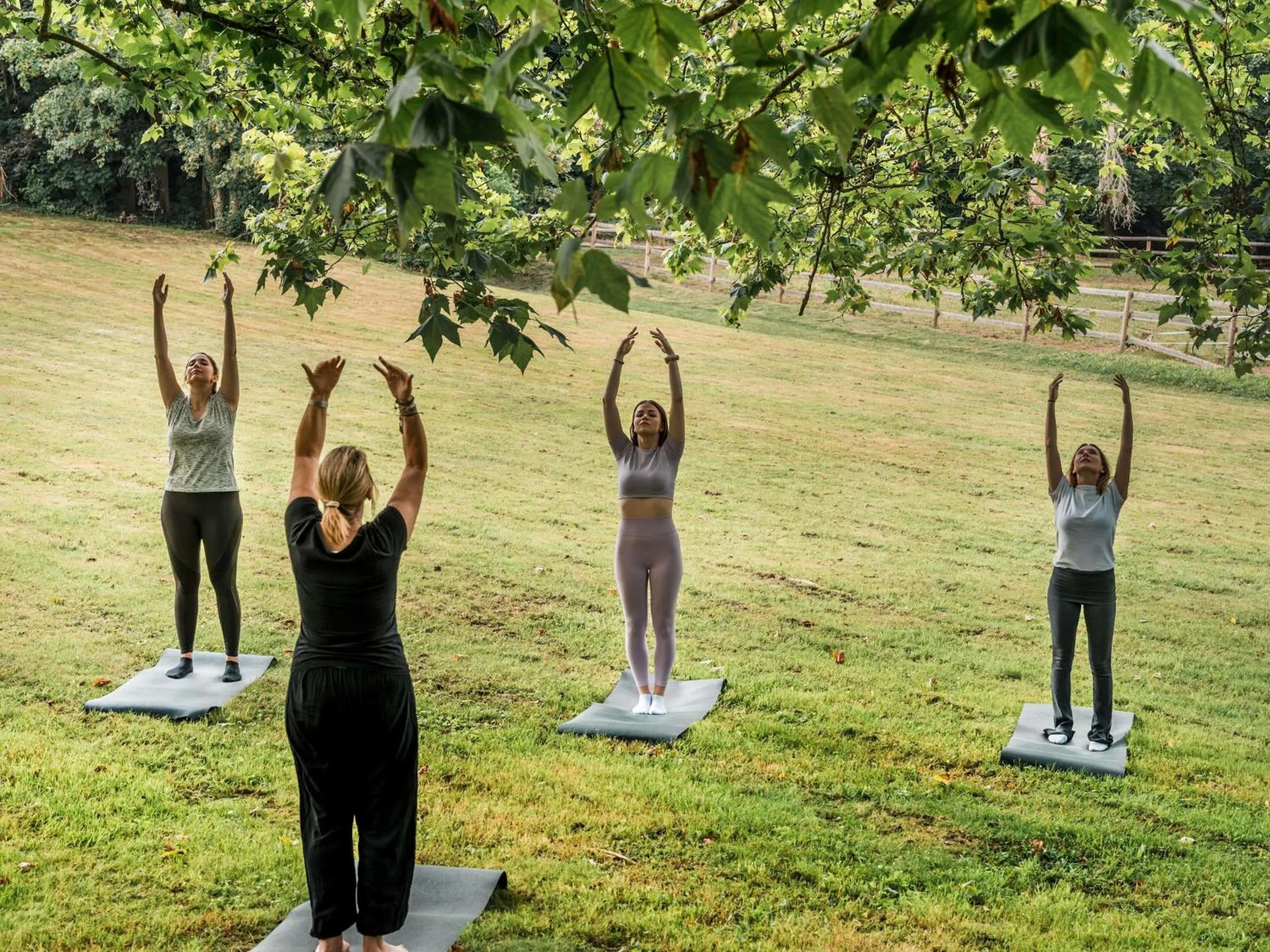 Other in Hotel Mercure Parc du Coudray - Barbizon