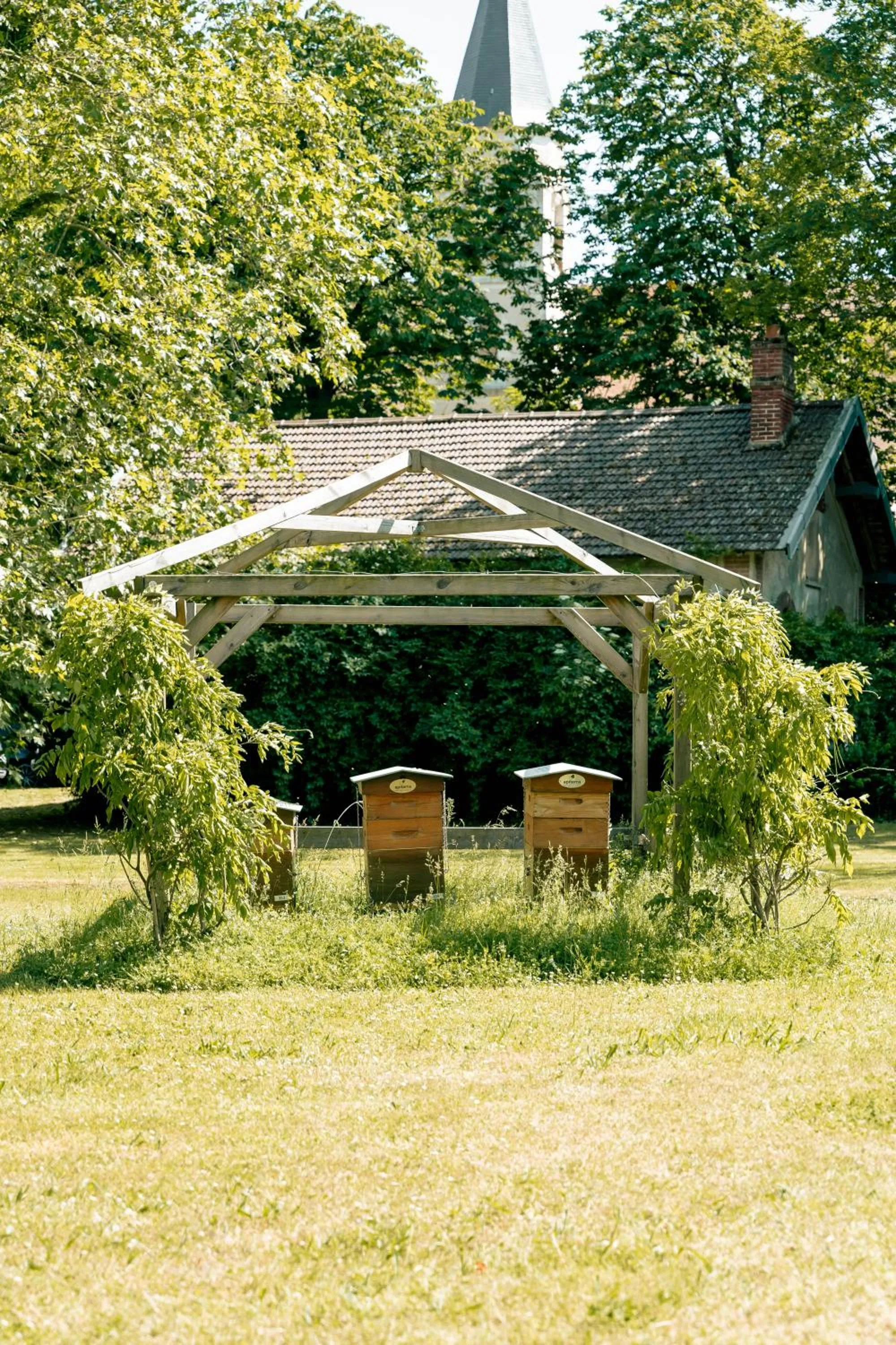Garden in Hotel Mercure Parc du Coudray - Barbizon