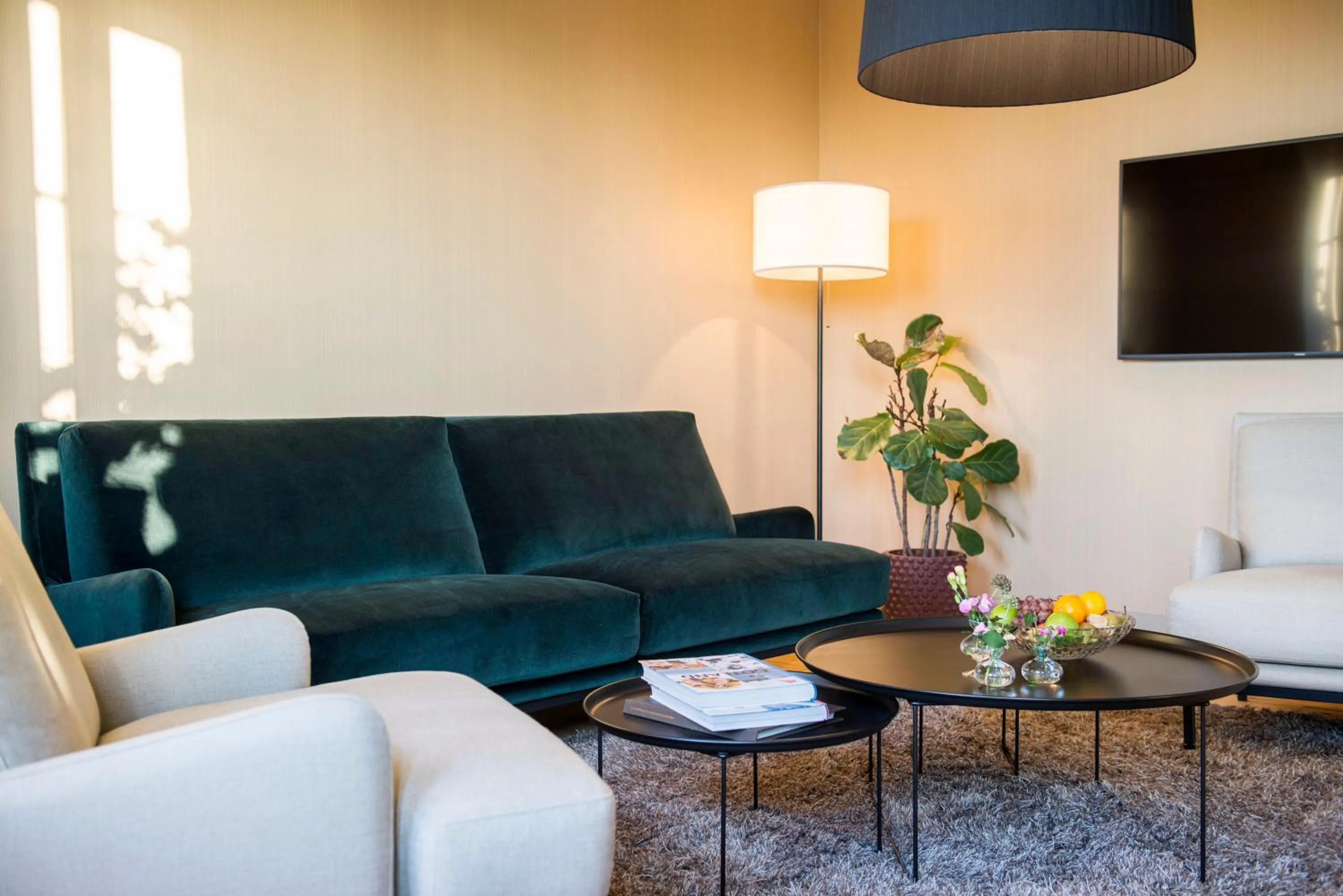 TV and multimedia in Värdshuset Lindgården