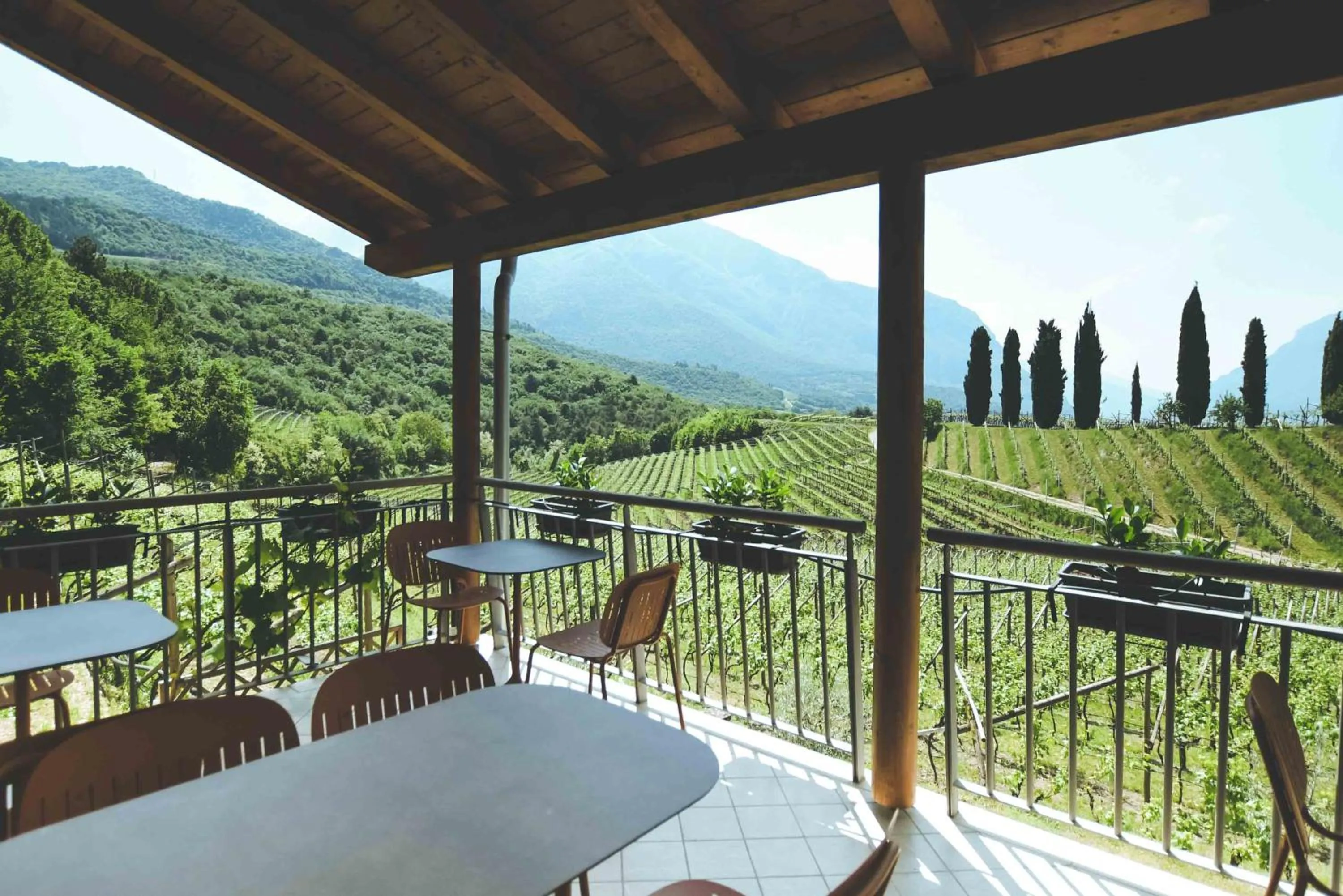 Natural landscape in Agritur Casteller