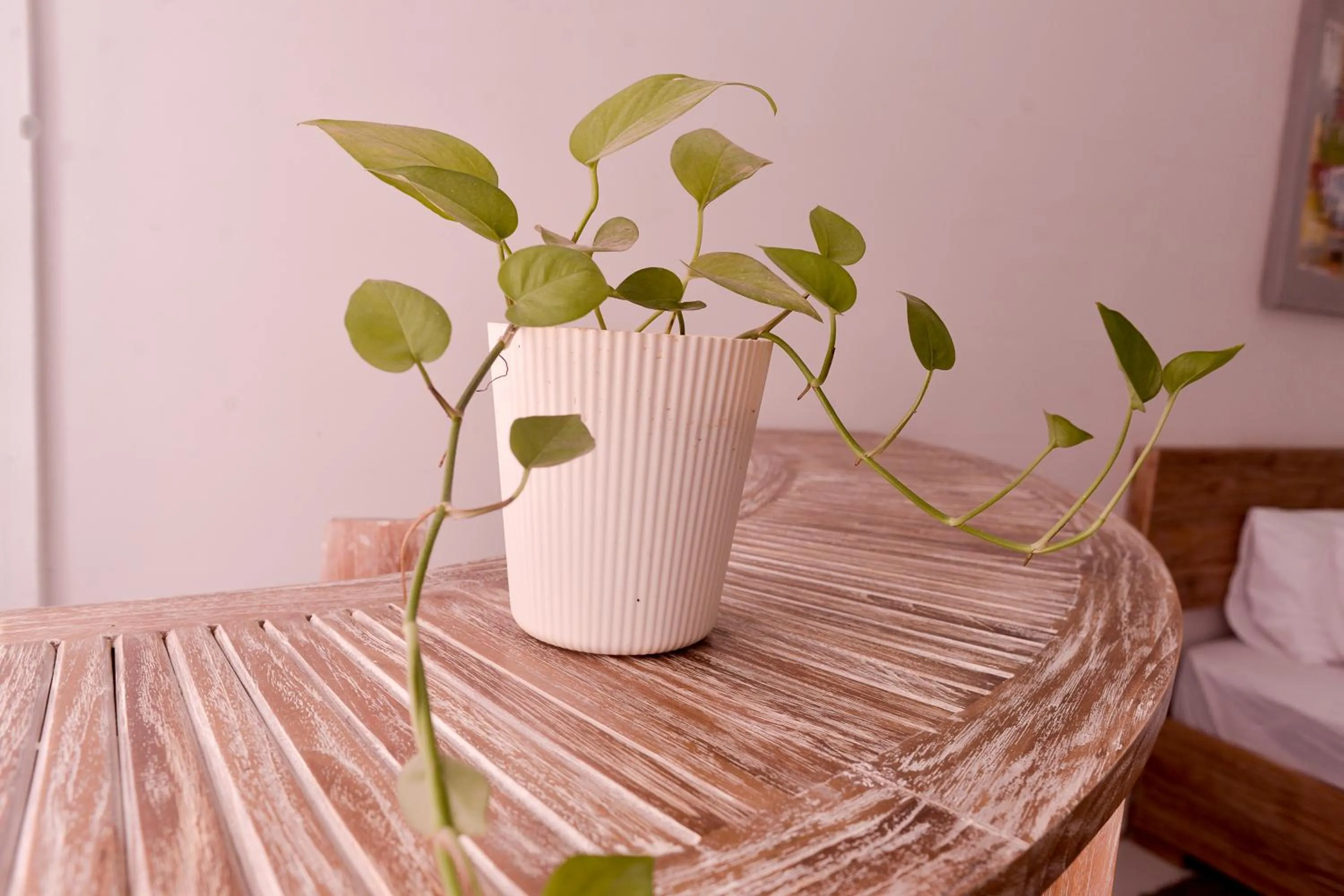 The Serai Cottage Downtown Hotel