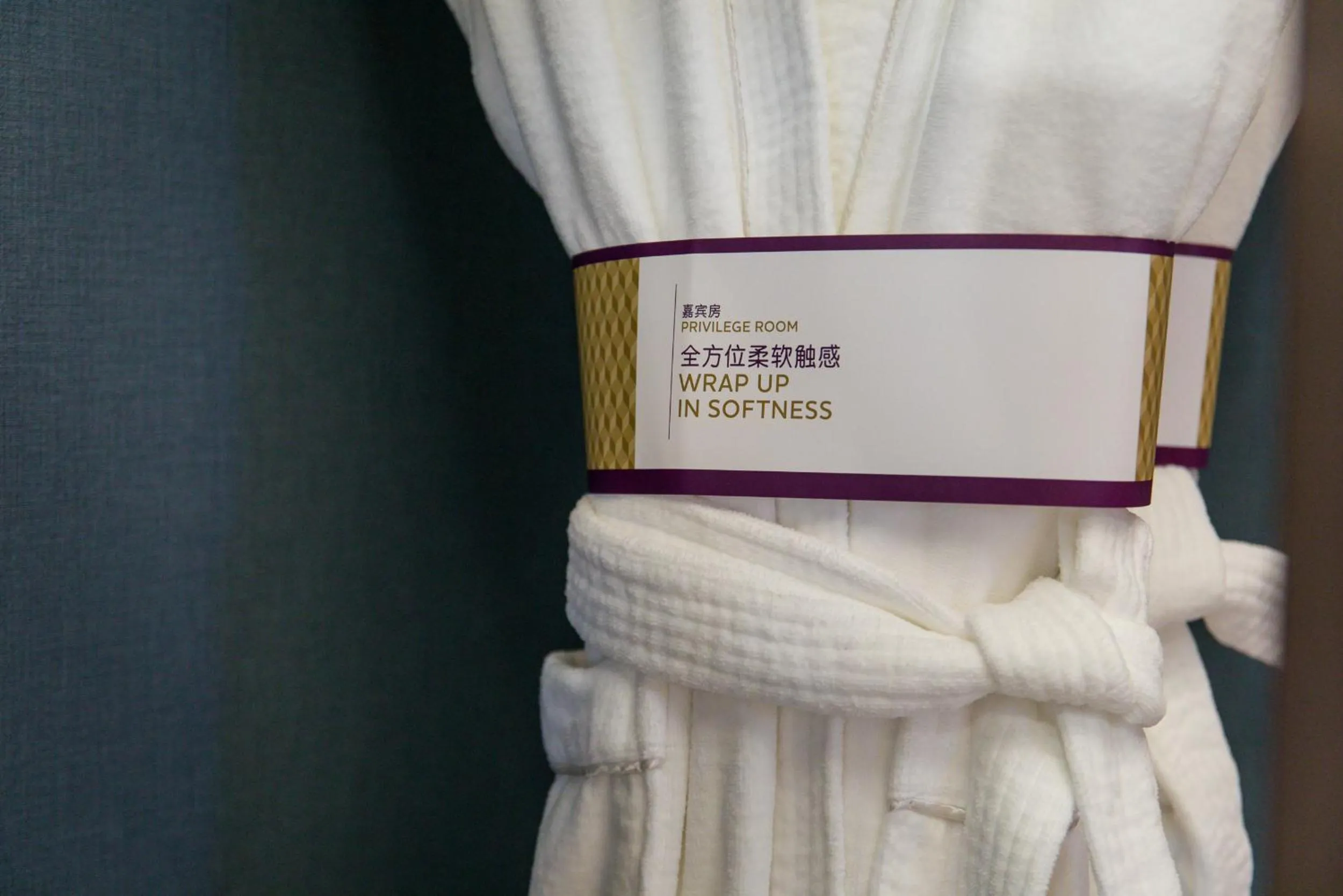 Property logo or sign in Mercure Xi'an Qujiang