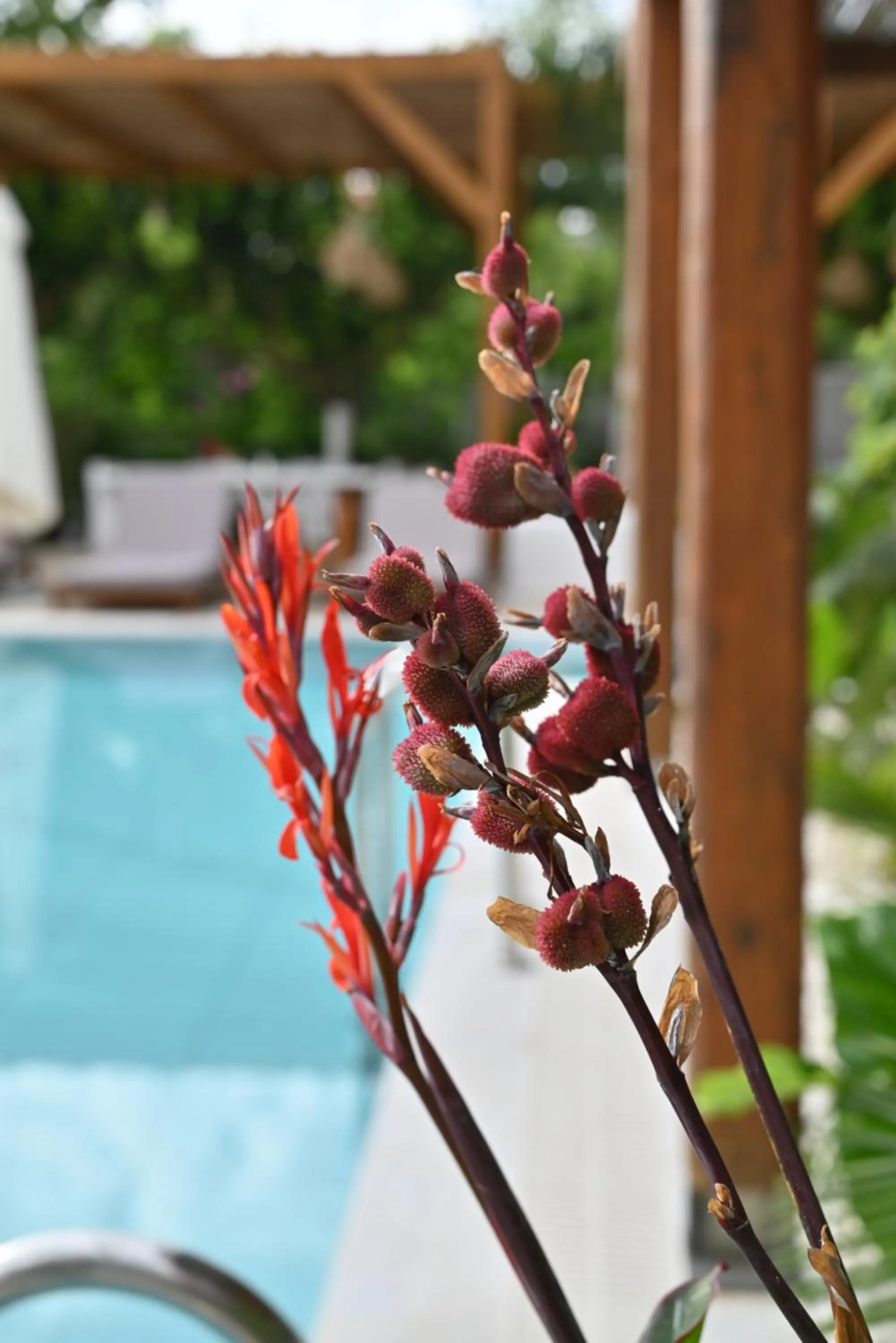 Agorastos Luxury Living