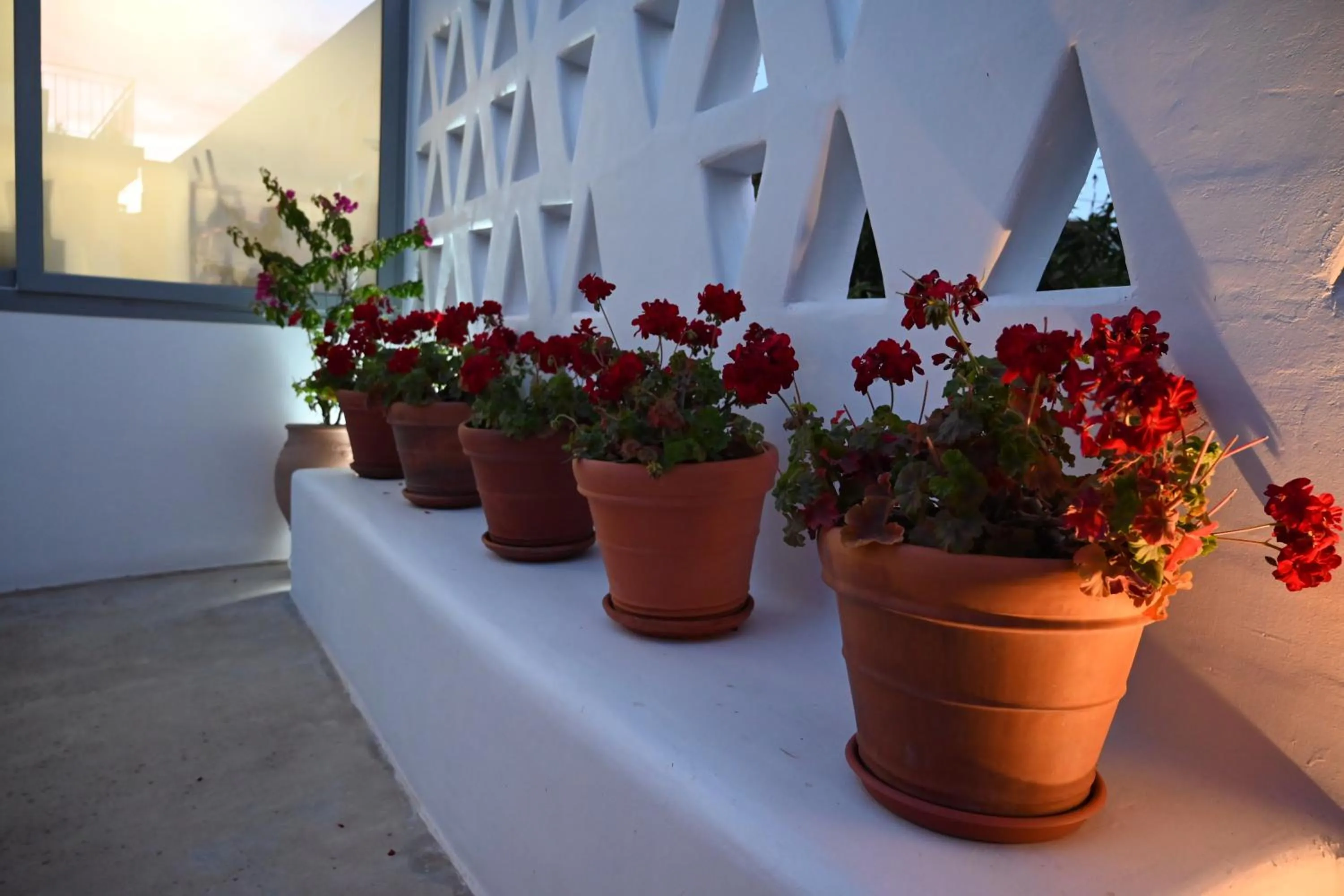 Agorastos Luxury Living