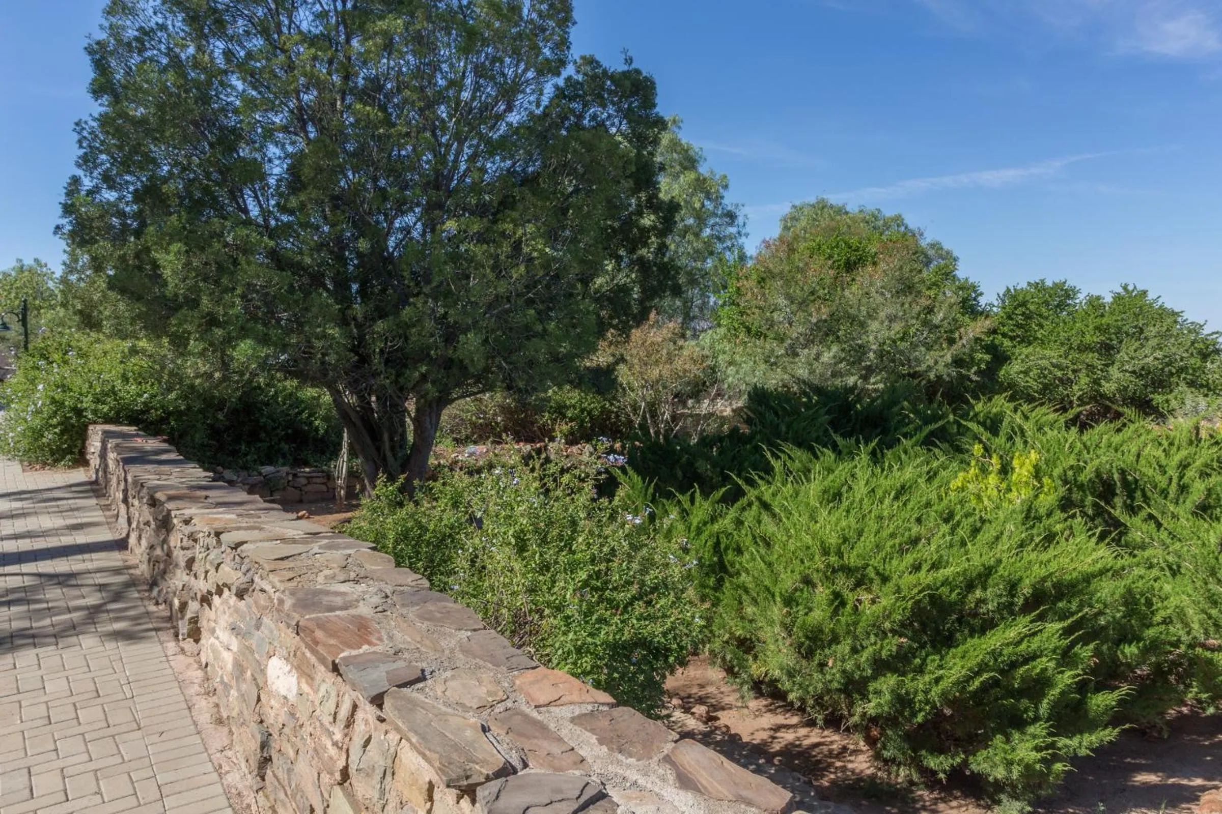 Garden in Lemoenfontein