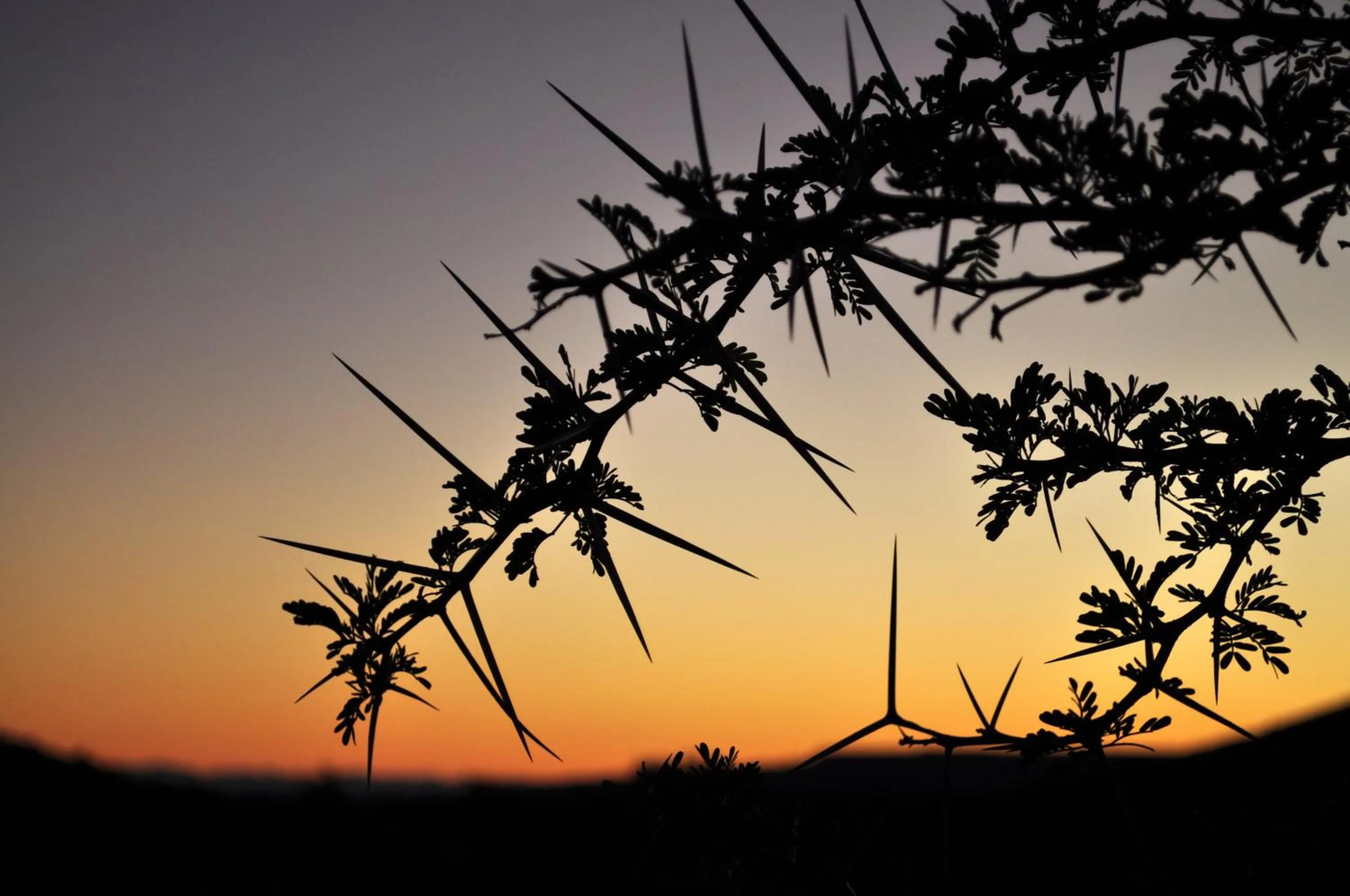 Sunset in Lemoenfontein