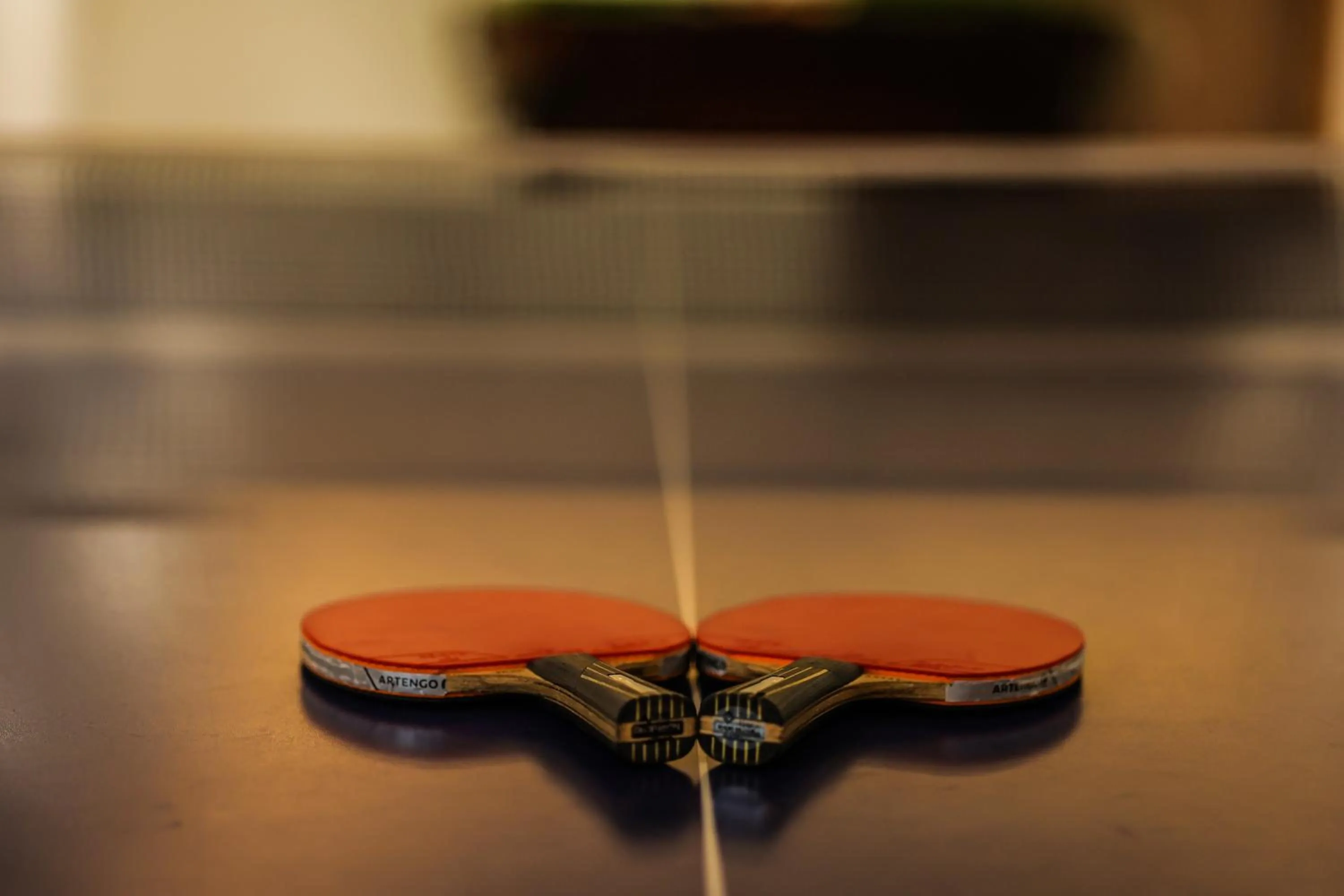 Game Room in Ramada Plaza by Wyndham Lucknow