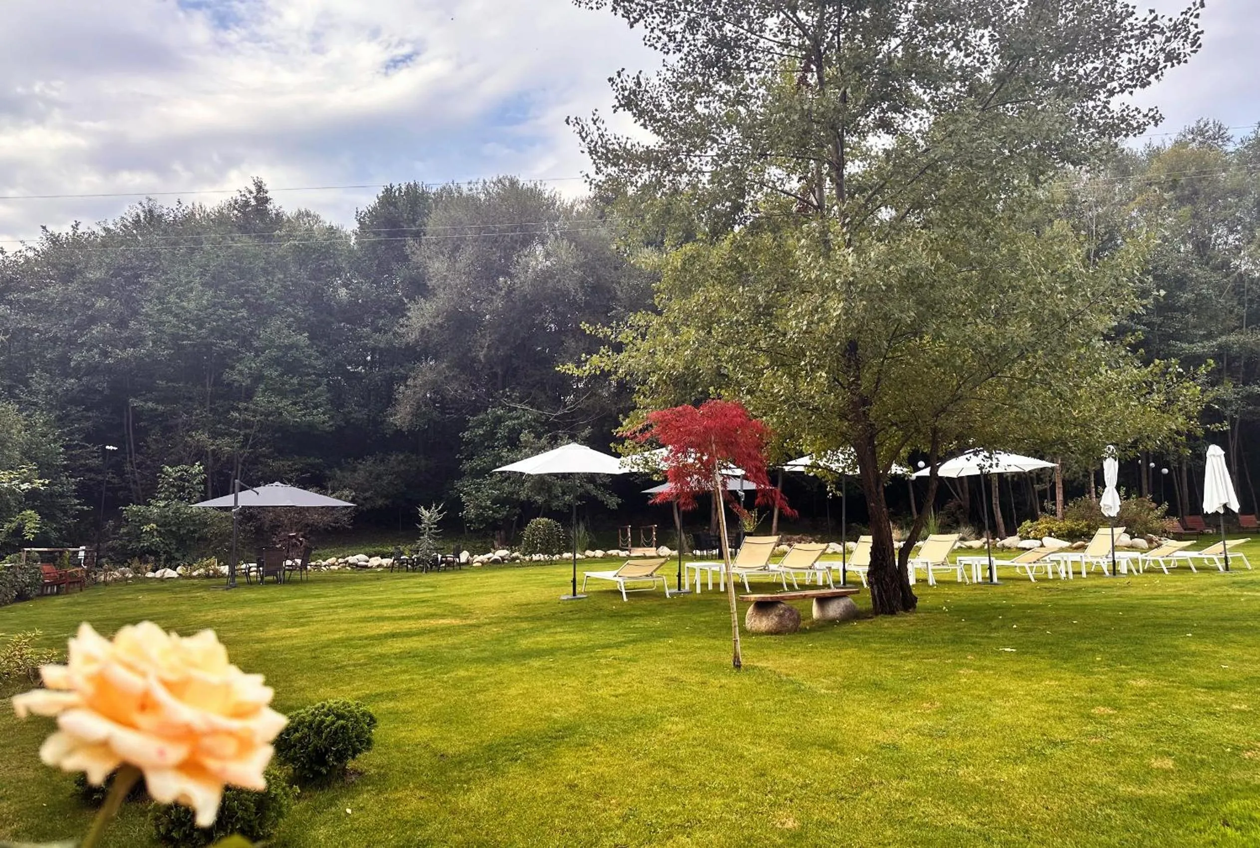 Natural landscape in Predela LUX Aparthotel