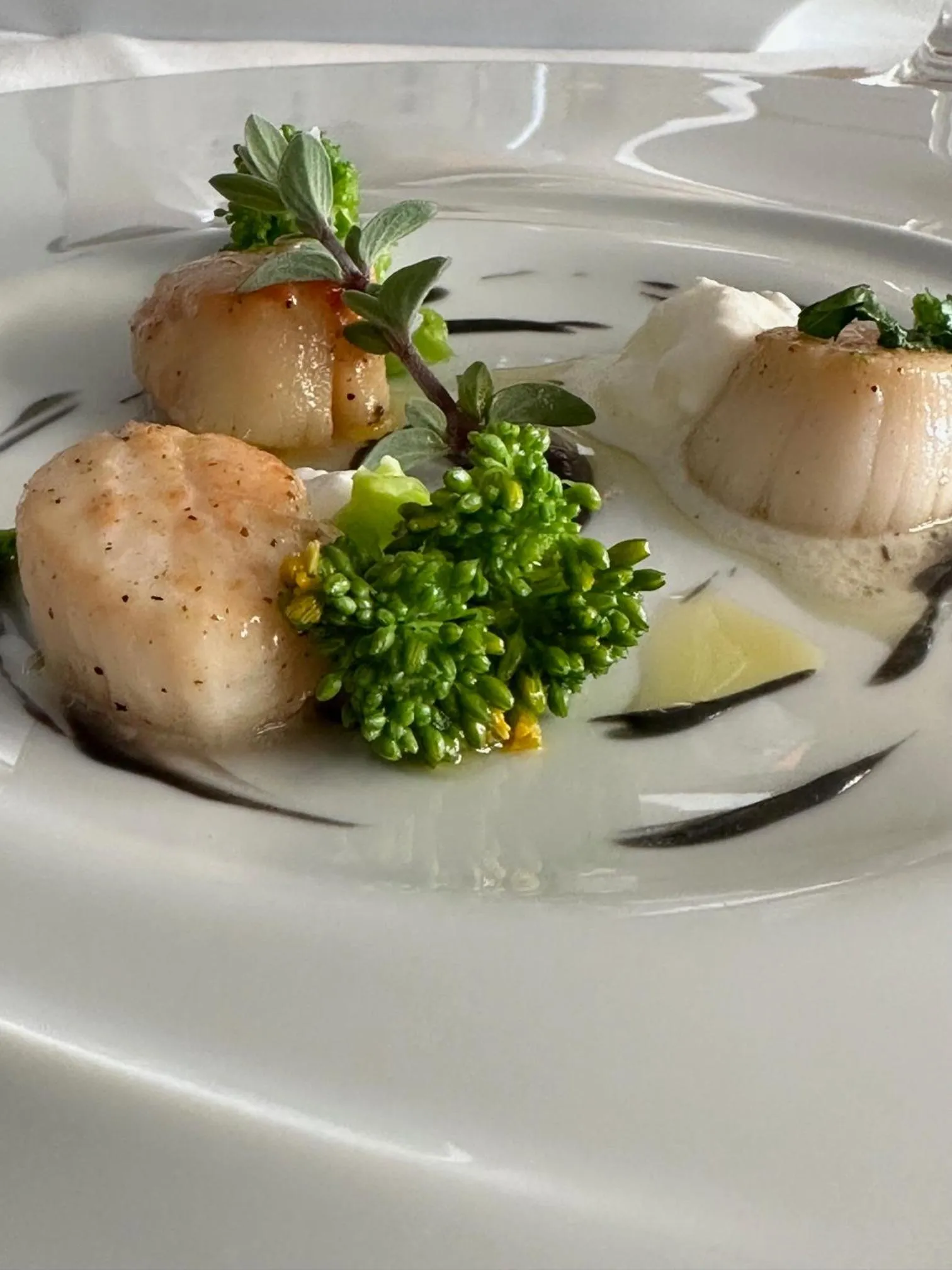 Food and drinks in Hotel Ligure