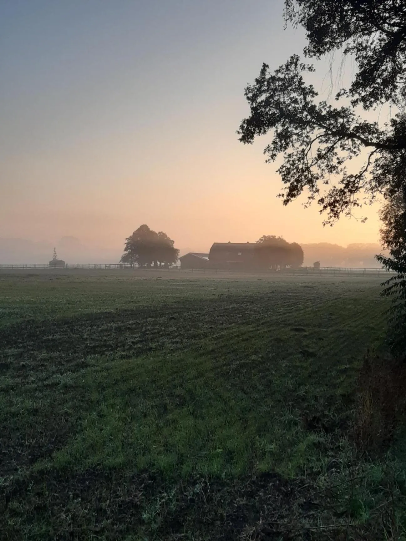 Property building in B&B De Handwijzer Hengelo