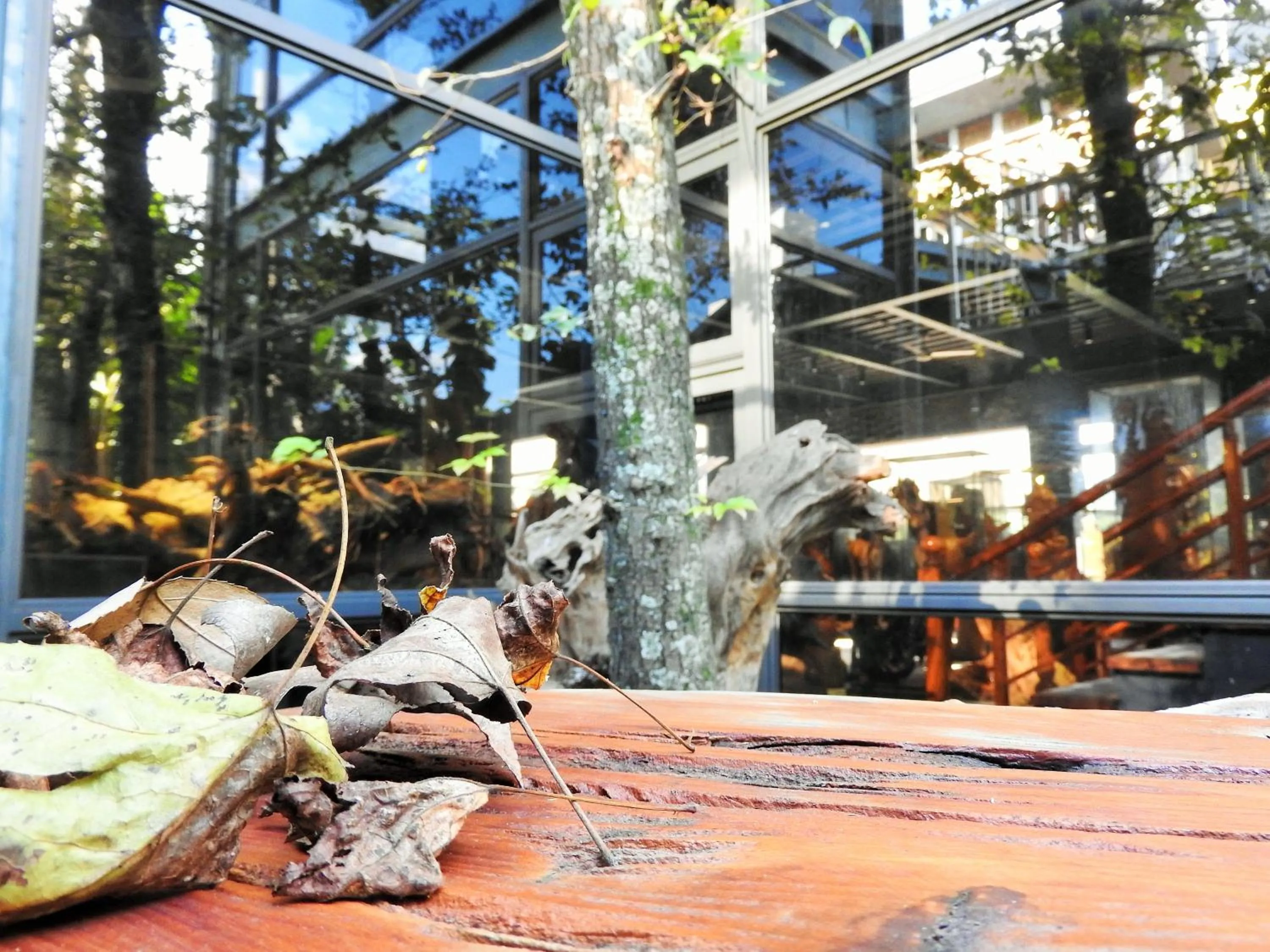 Patio in Blue Owl-Hualien No 2396-2397-2398-2399