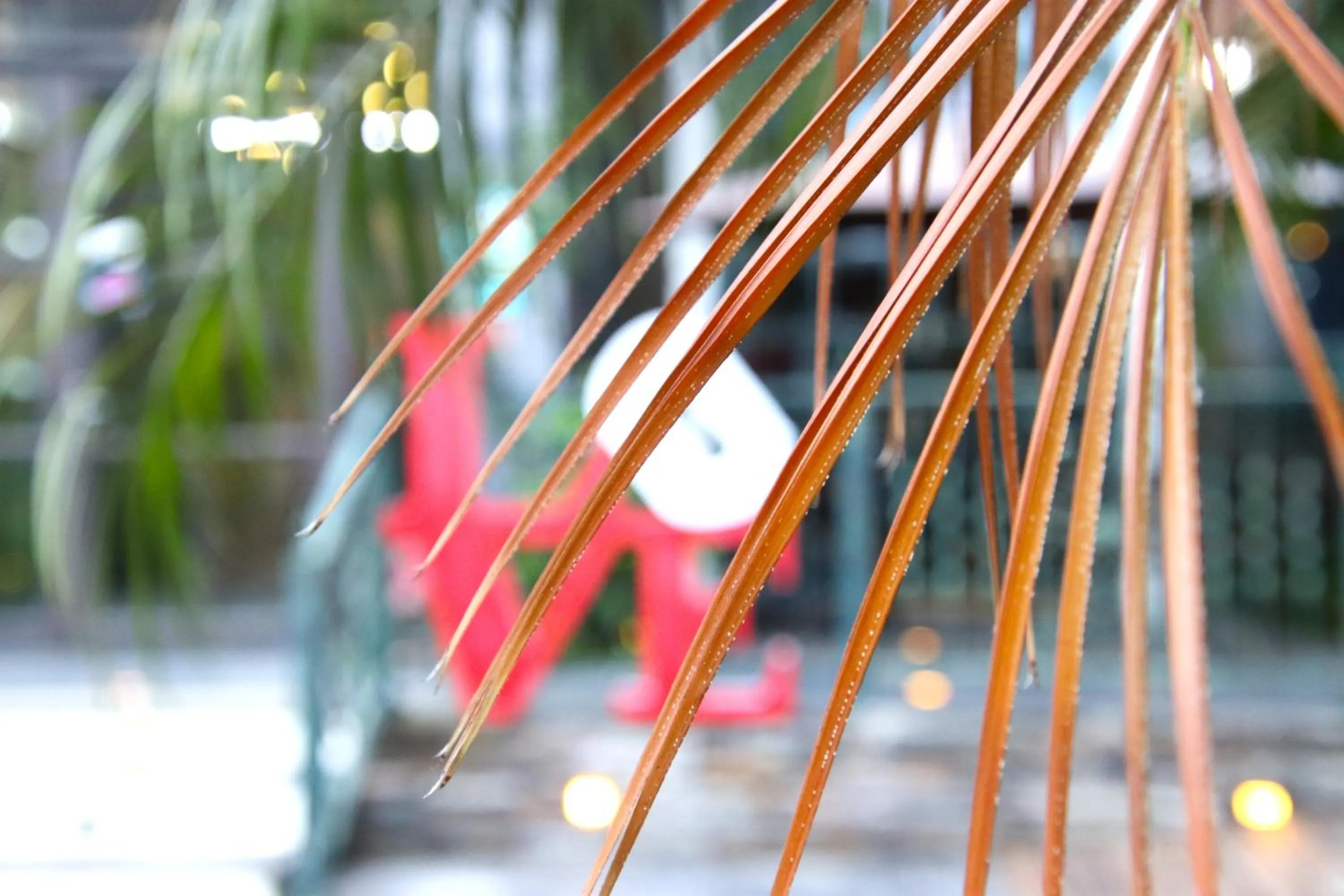 Property building in Blue Owl-Hualien No 2396-2397-2398-2399