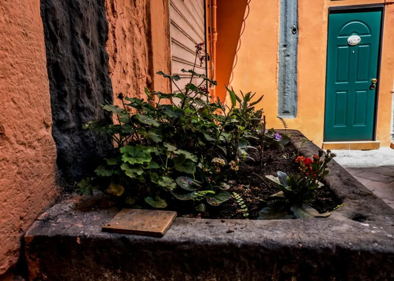 Facade/entrance in Little House Napoli