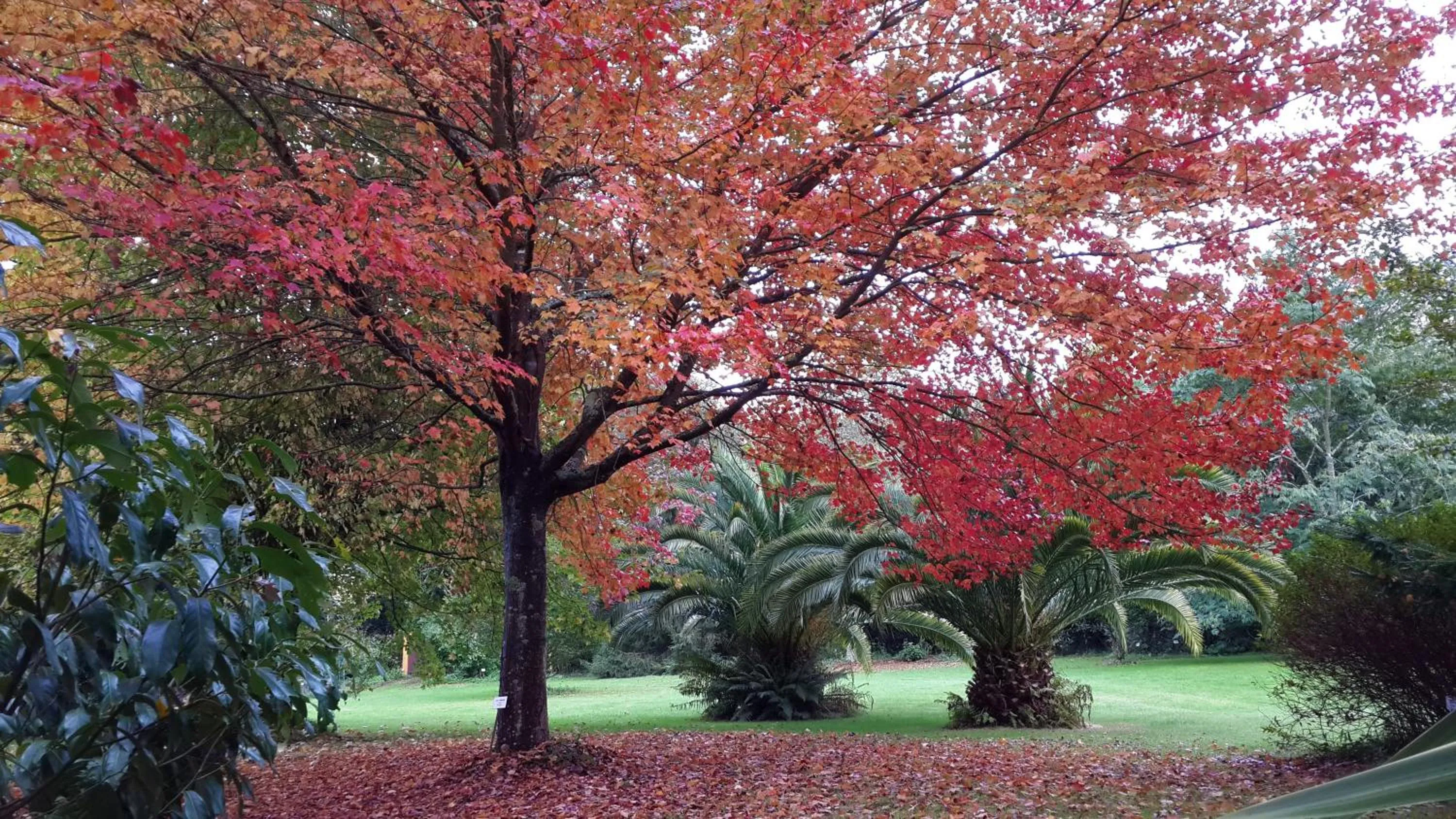Natural landscape in El Habana Llanes