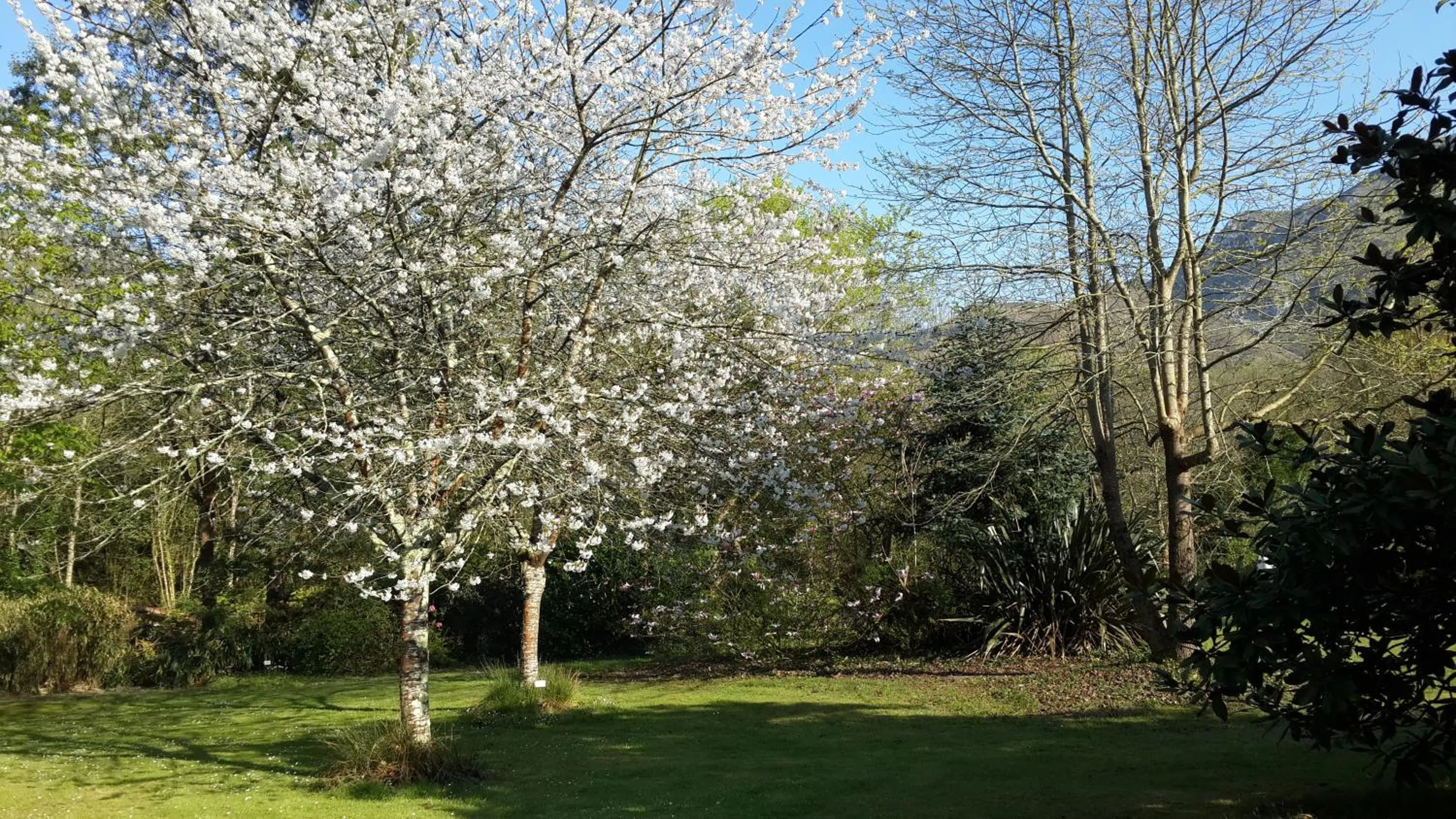 Activities in El Habana Llanes