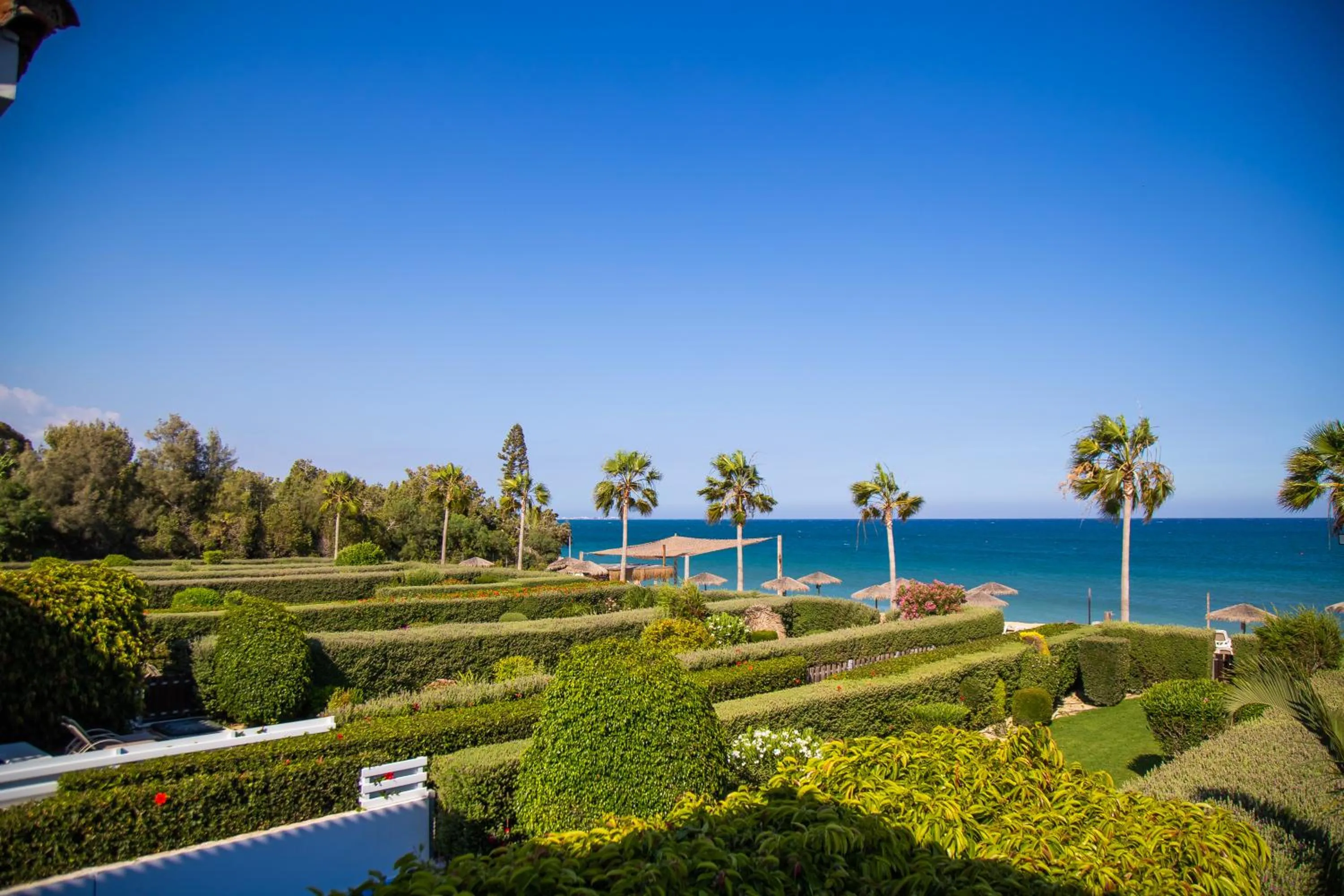 Garden in Atlantis Gardens