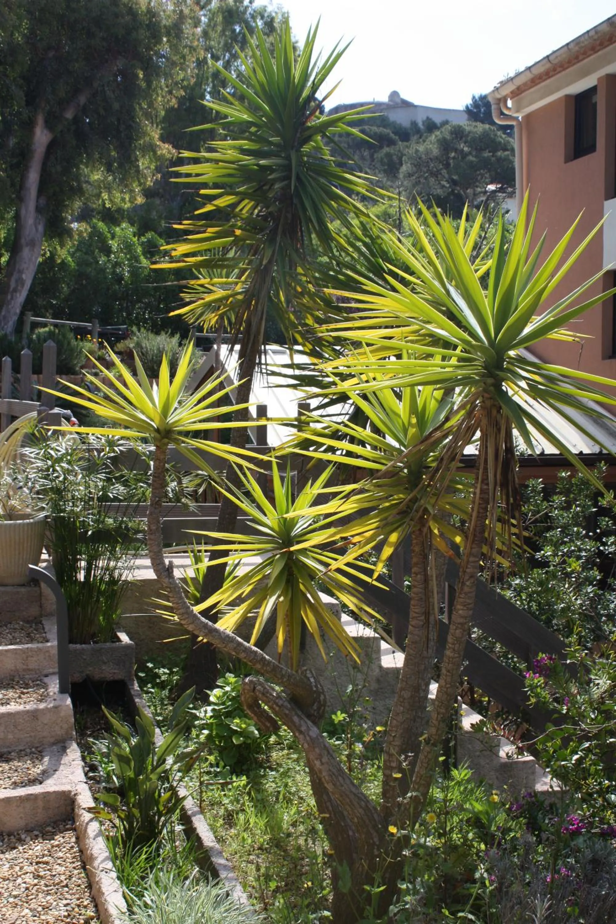 Decorative detail in Hotel Residence Les Medes
