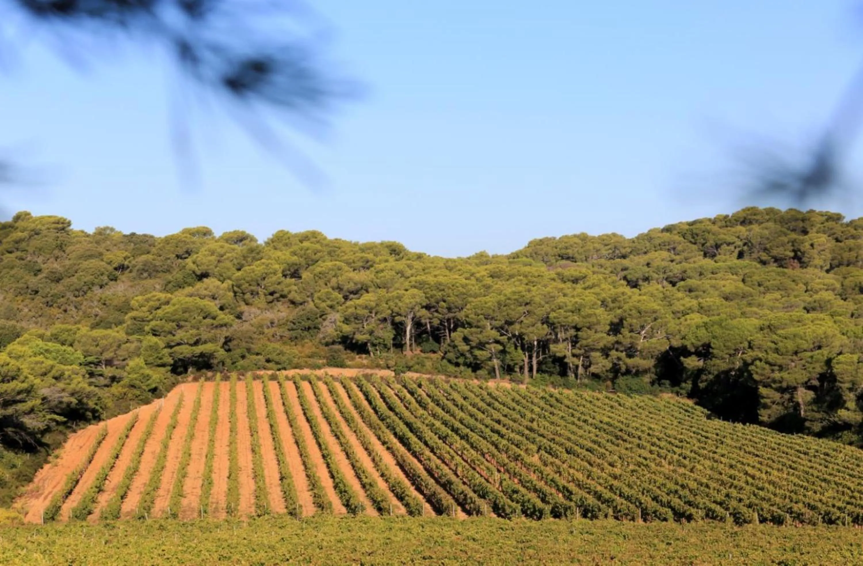 Area and facilities in Hotel Residence Les Medes