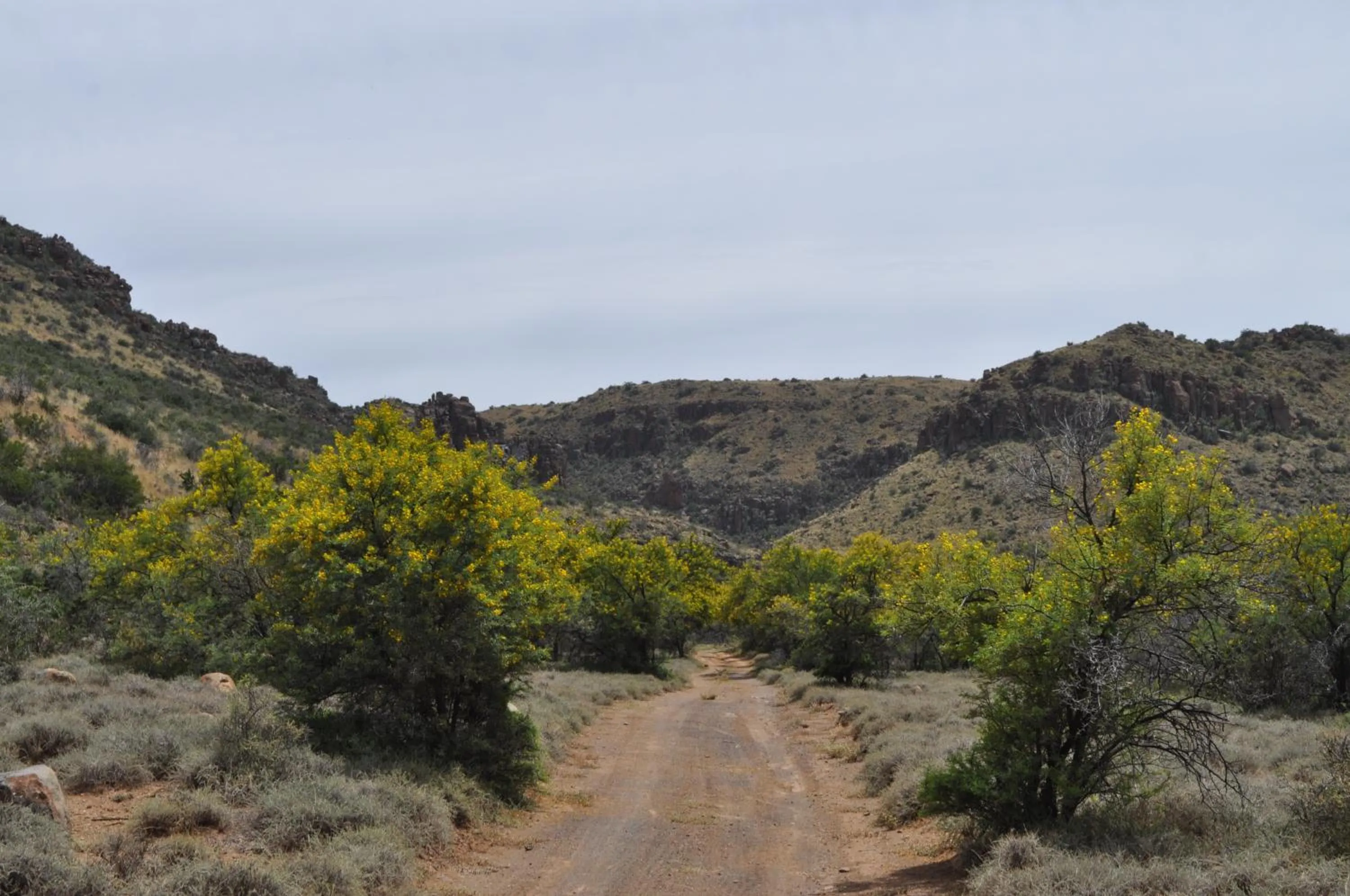 View (from property/room) in Ko Ka Tsara Bush Camp