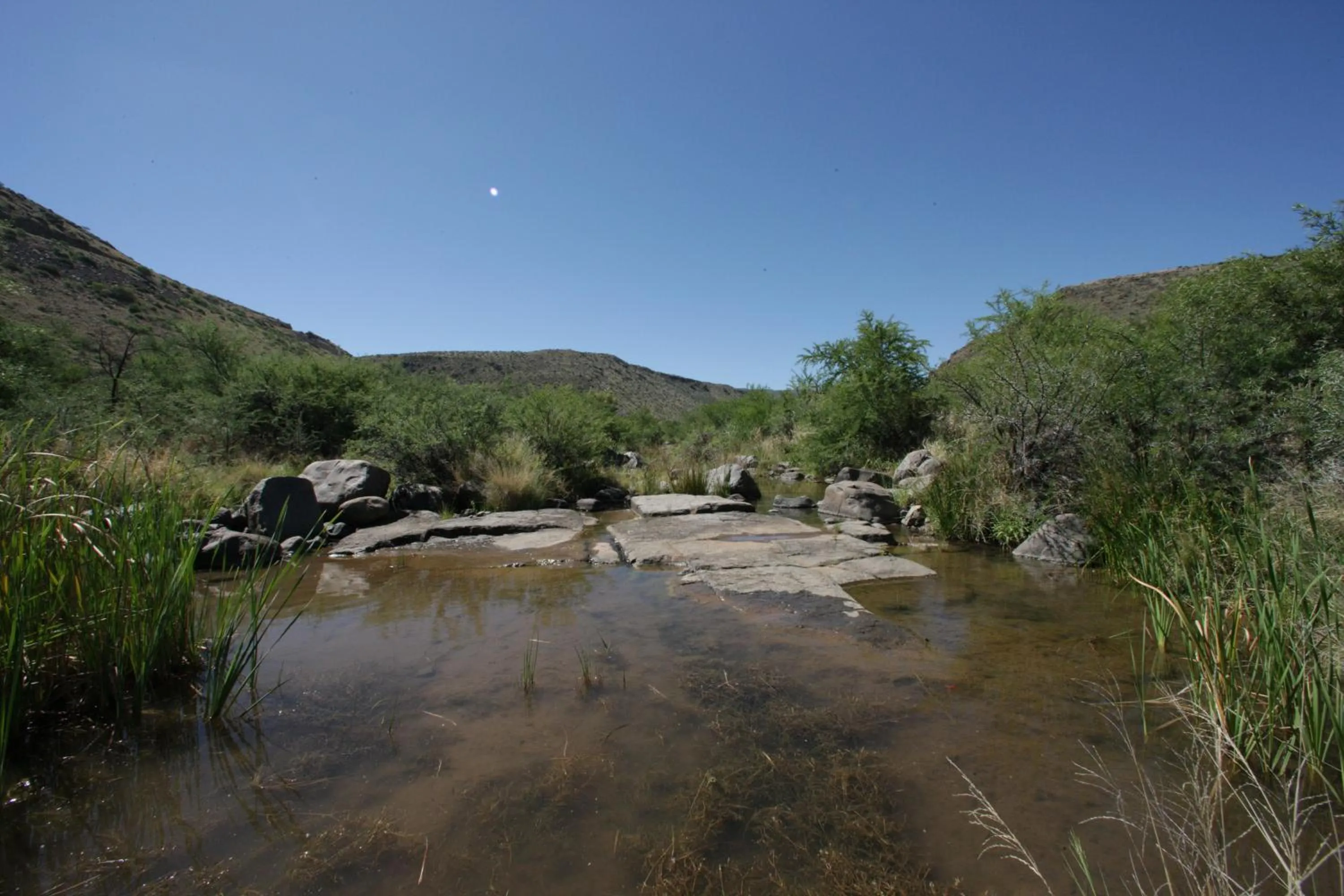 View (from property/room) in Ko Ka Tsara Bush Camp