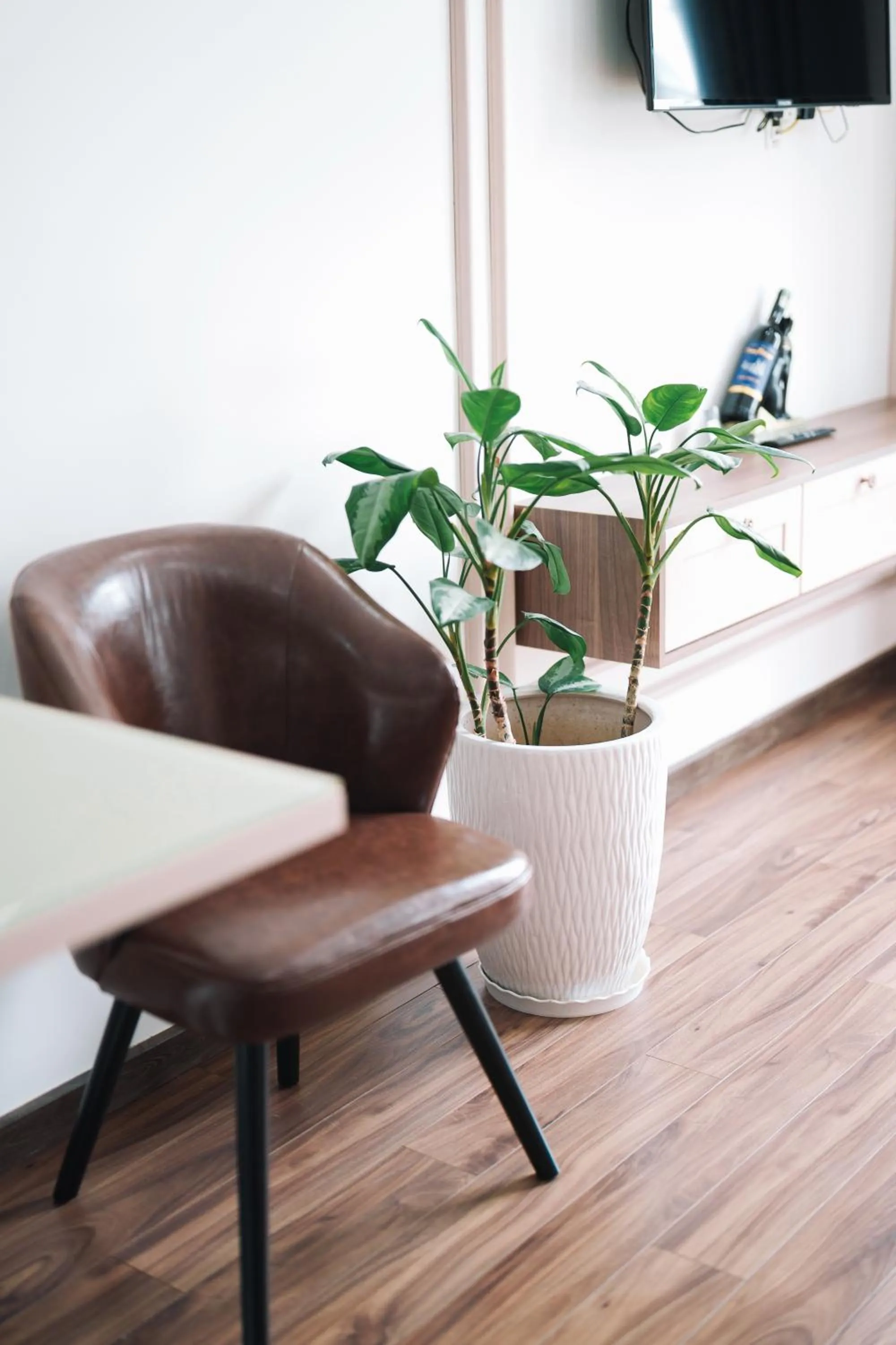 Living room in N Queen Apartment Hotel