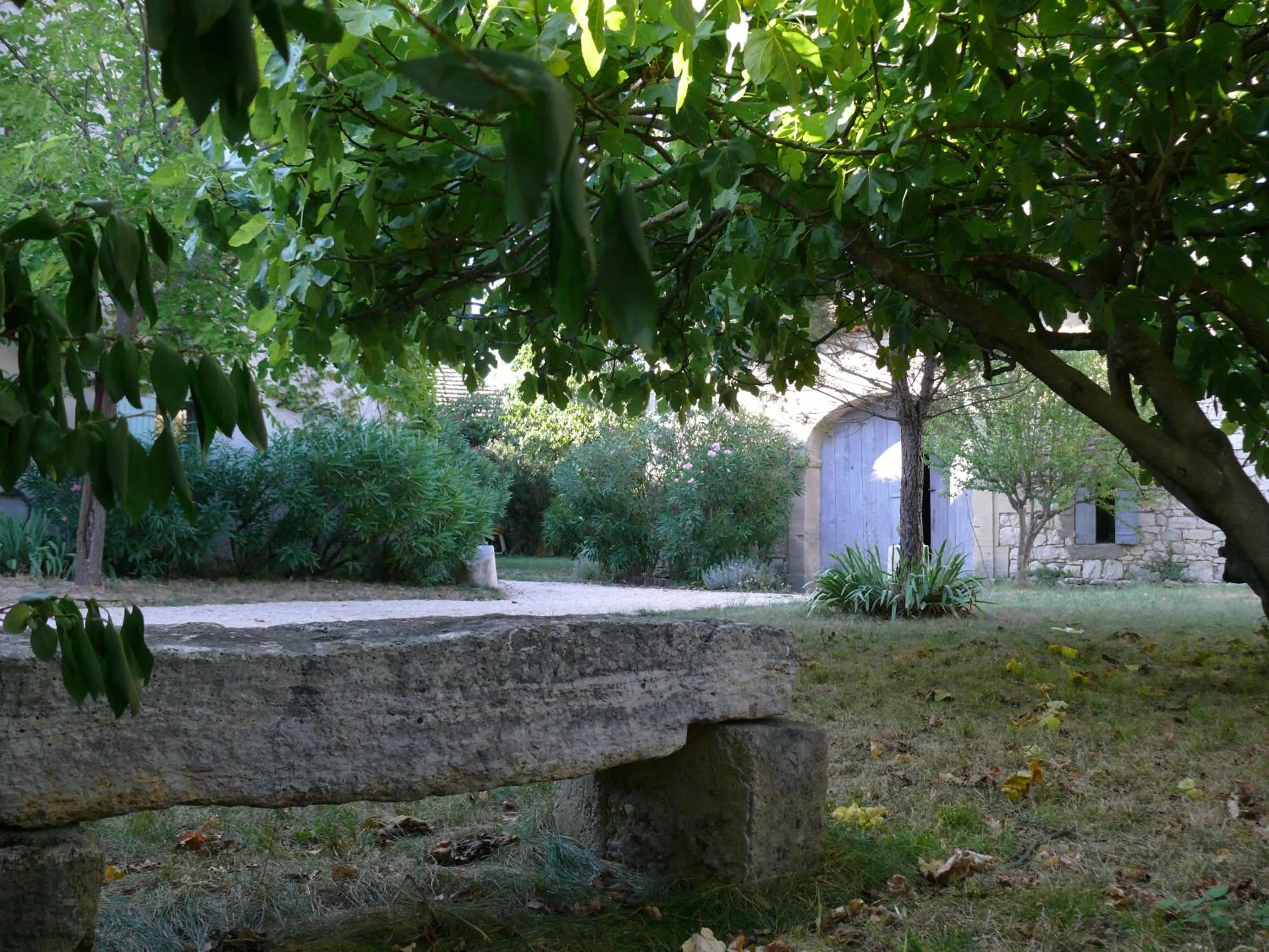 Garden in Le Mas des Sages